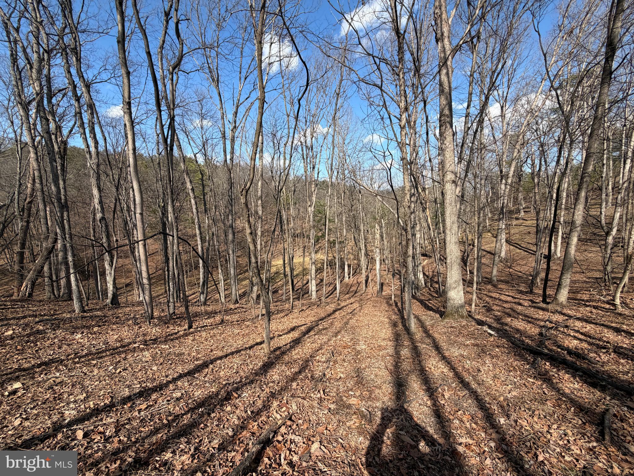 HAMILTON ESTATES - Land