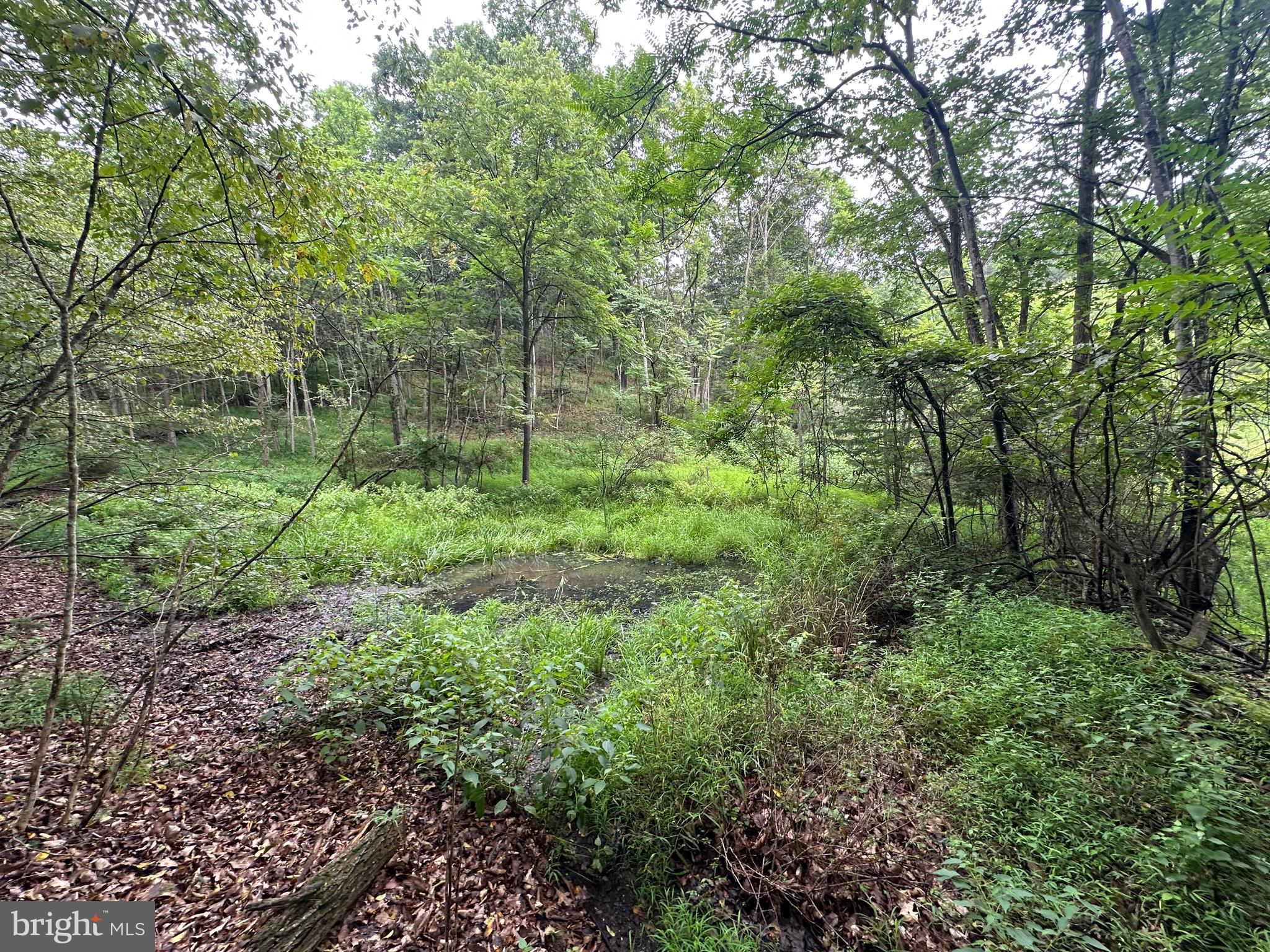 HAMILTON ESTATES - Land