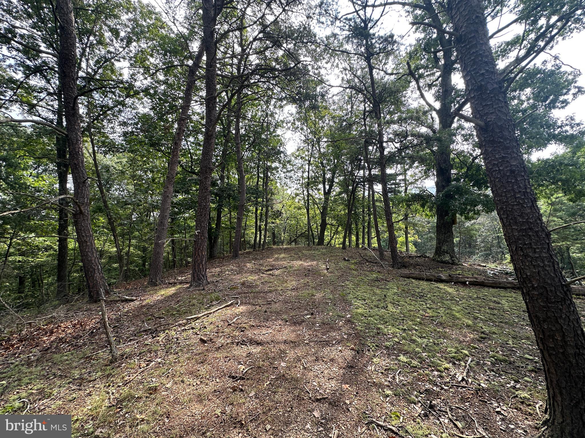 HAMILTON ESTATES - Land