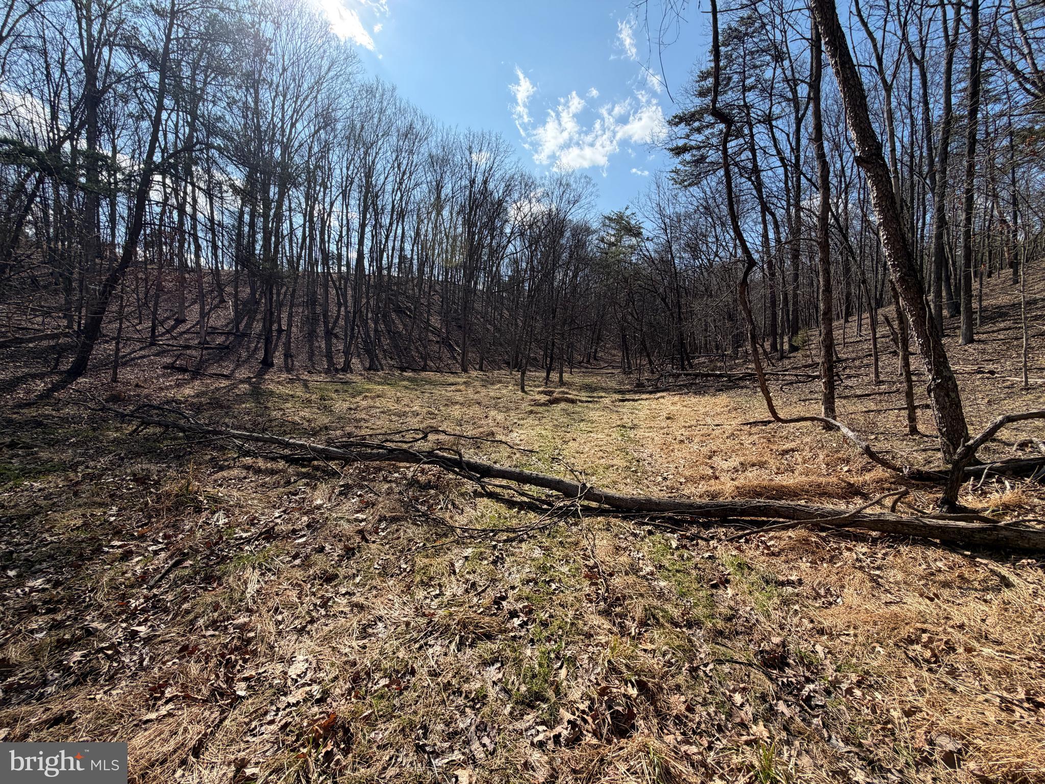 HAMILTON ESTATES - Land