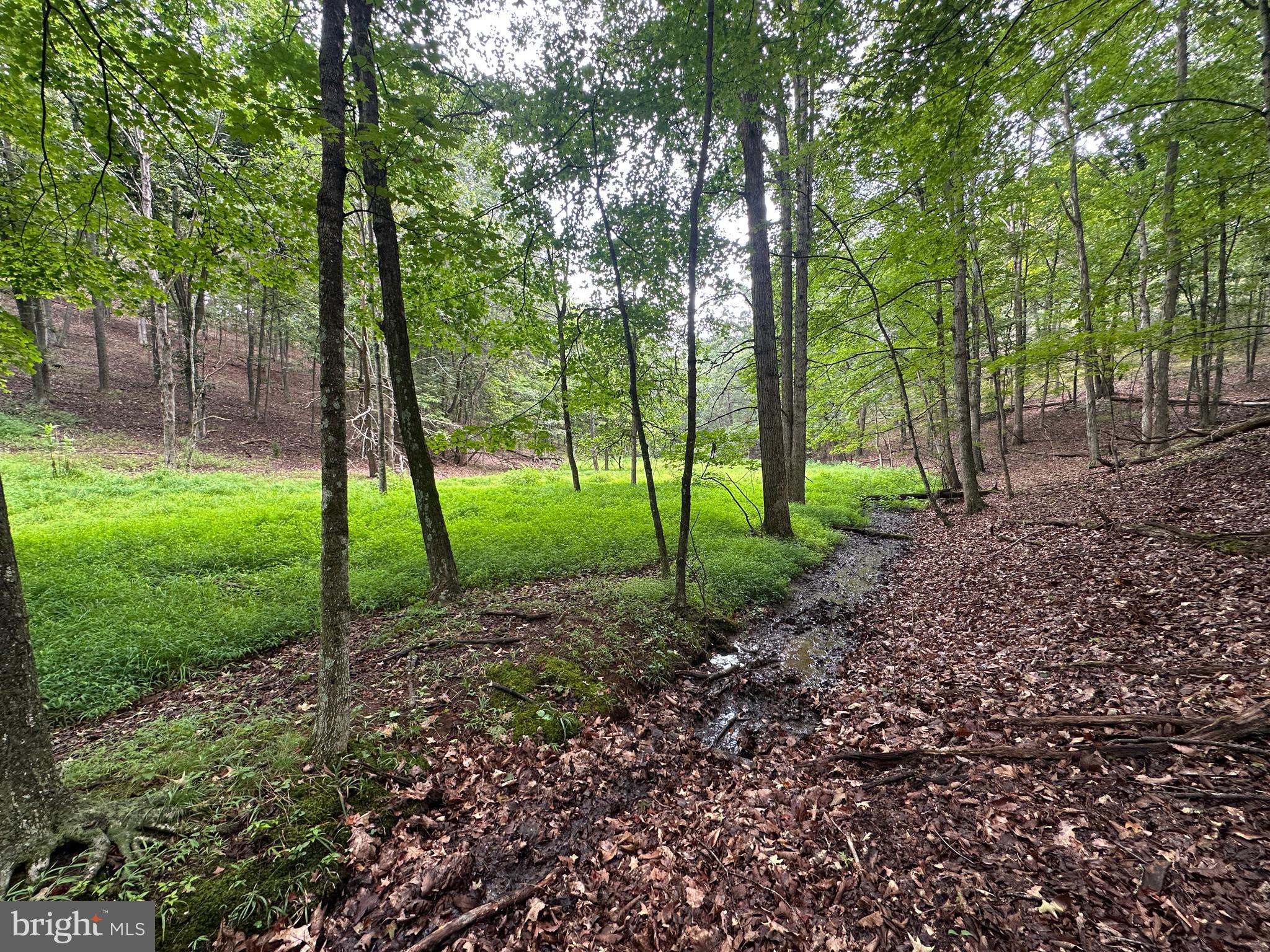 HAMILTON ESTATES - Land