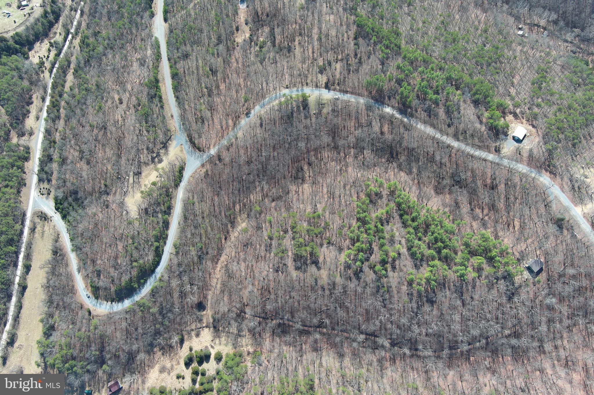 HAMILTON ESTATES - Land