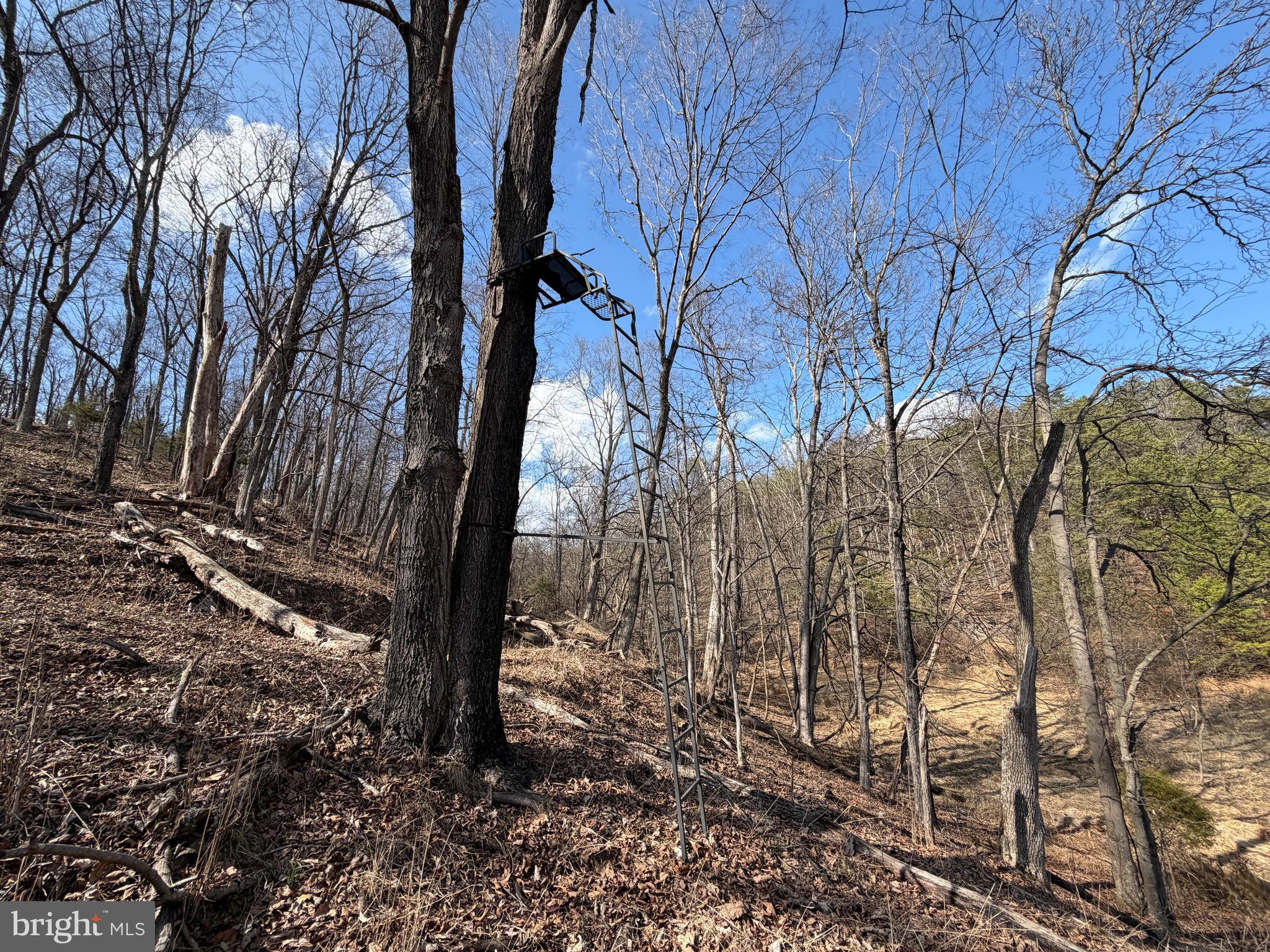 HAMILTON ESTATES - Land