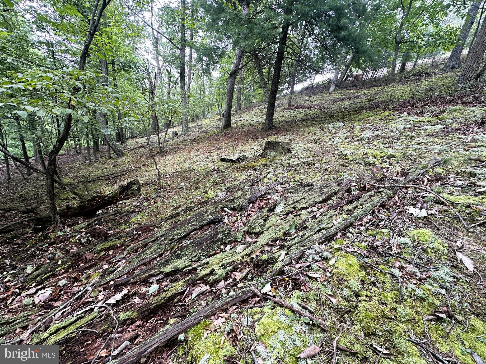 HAMILTON ESTATES - Land