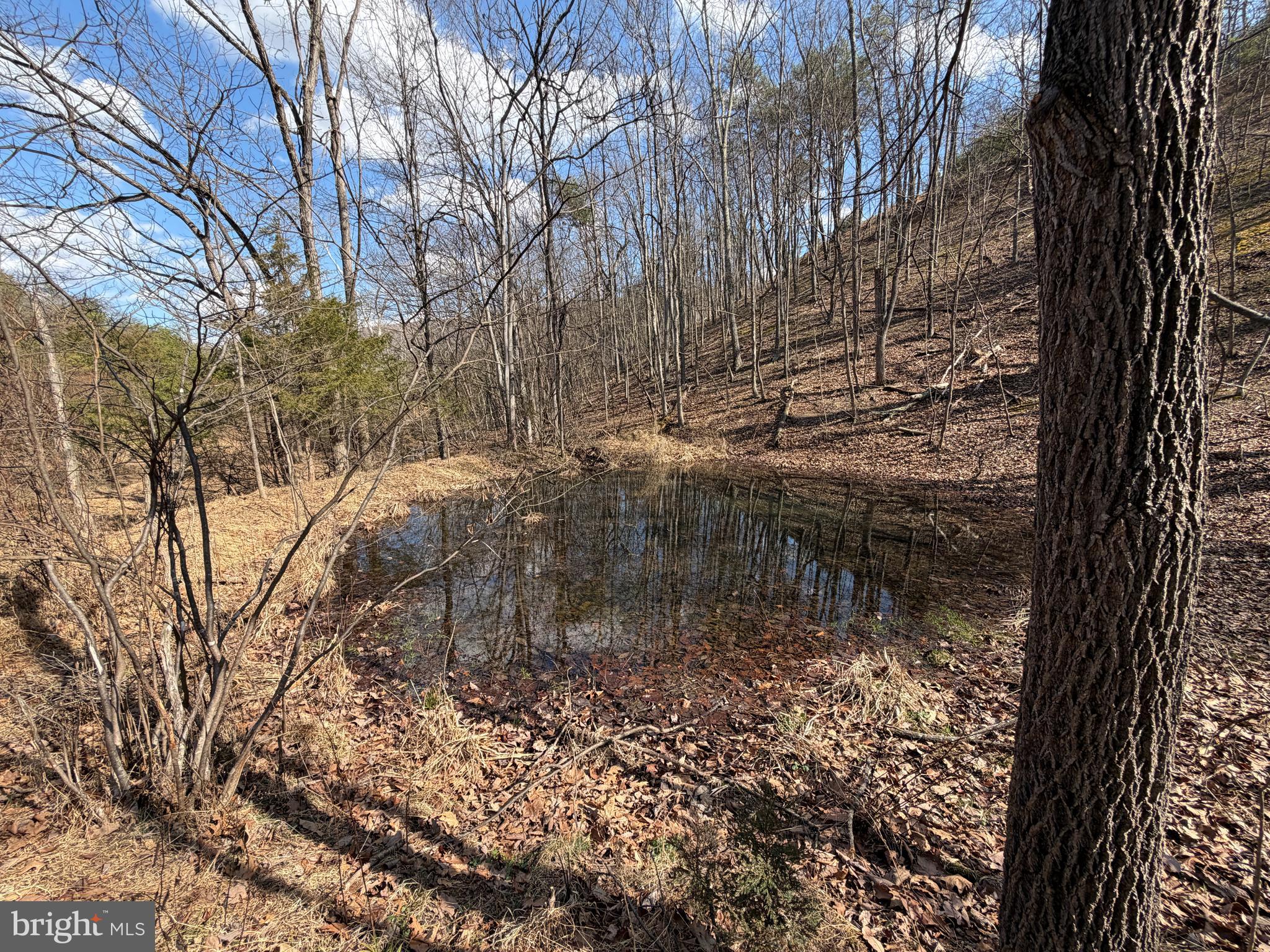 HAMILTON ESTATES - Land