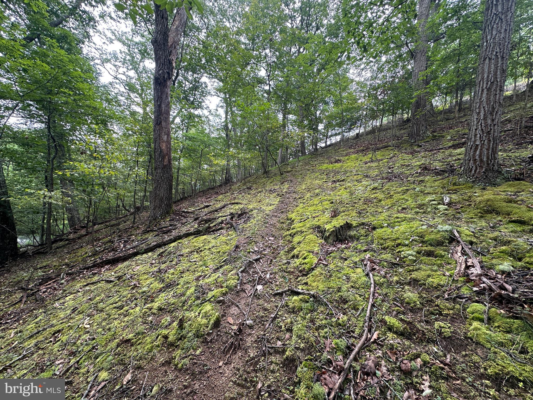 HAMILTON ESTATES - Land