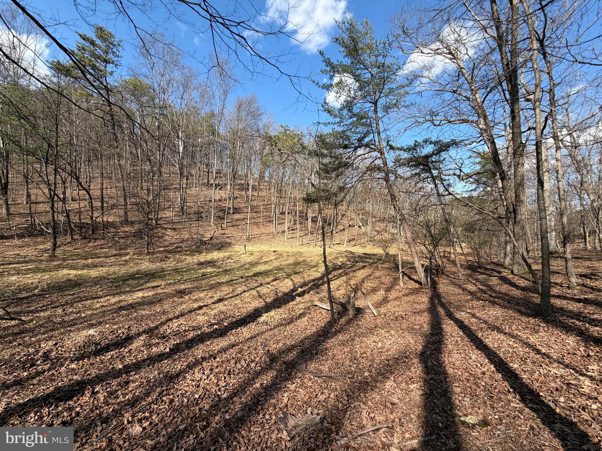 HAMILTON ESTATES - Land