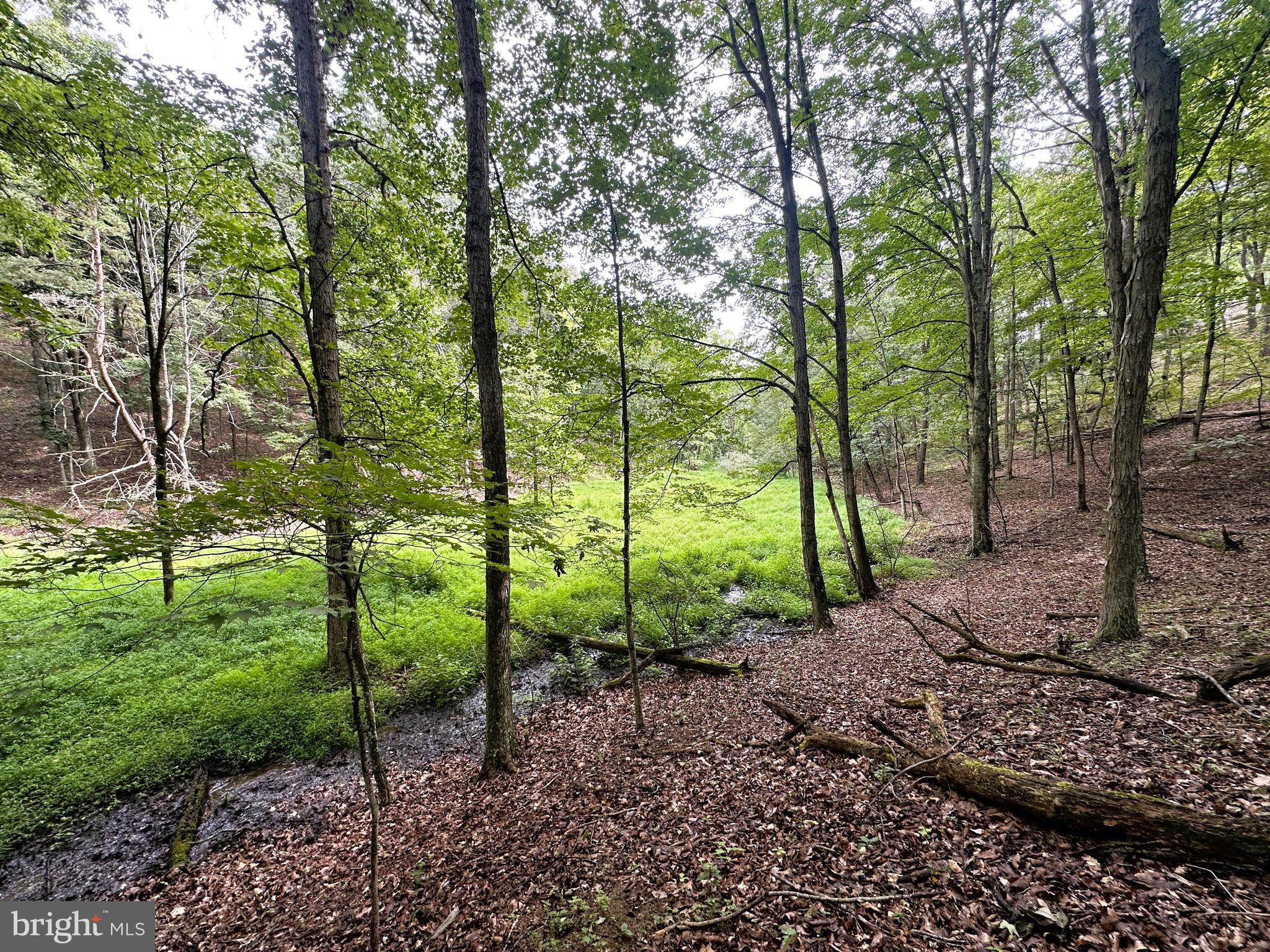 HAMILTON ESTATES - Land