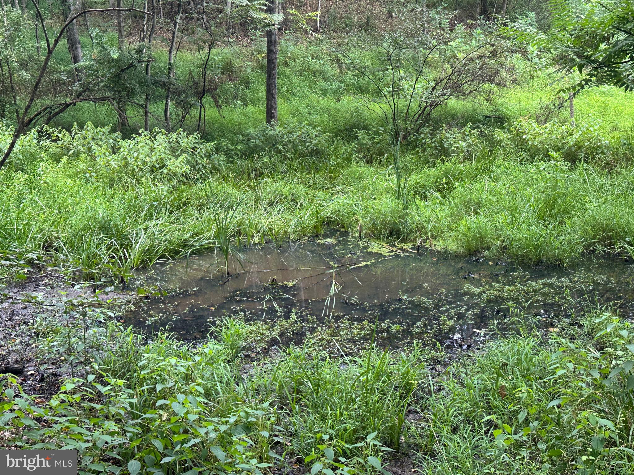 HAMILTON ESTATES - Land