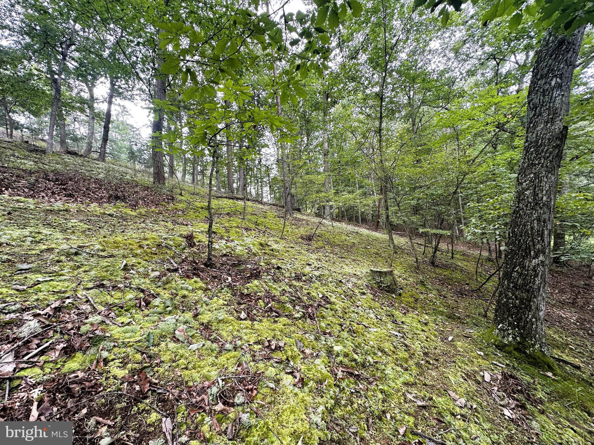 HAMILTON ESTATES - Land