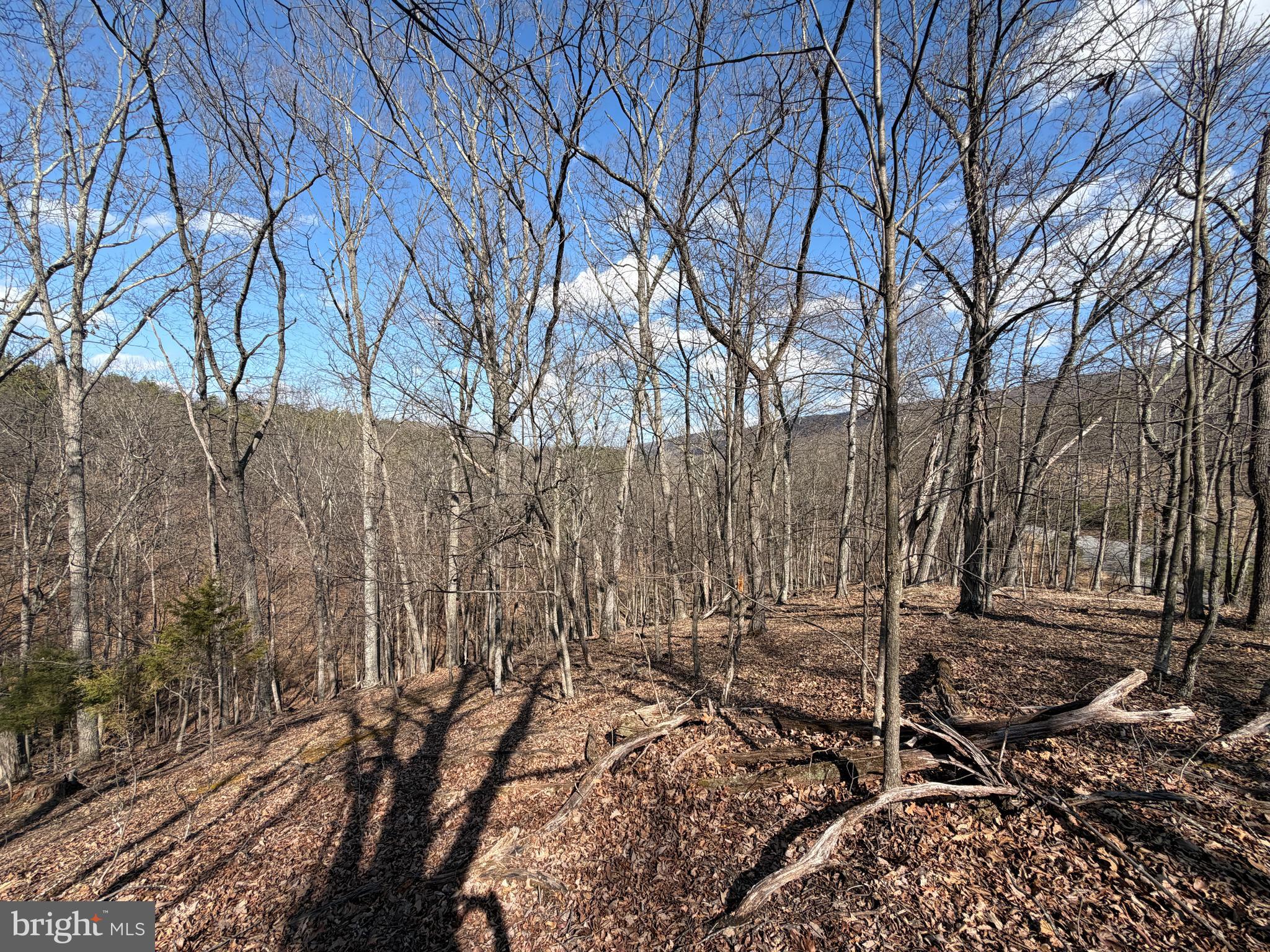 HAMILTON ESTATES - Land