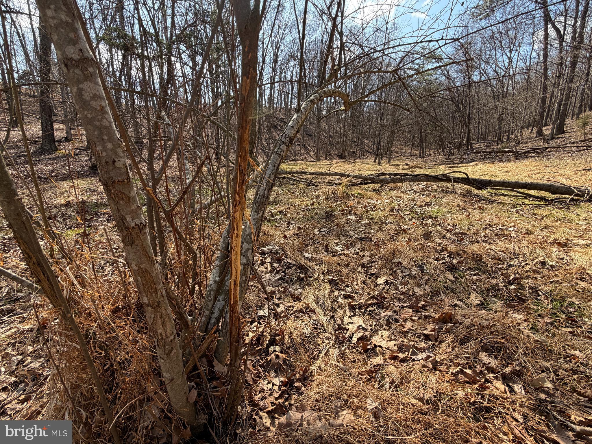 HAMILTON ESTATES - Land