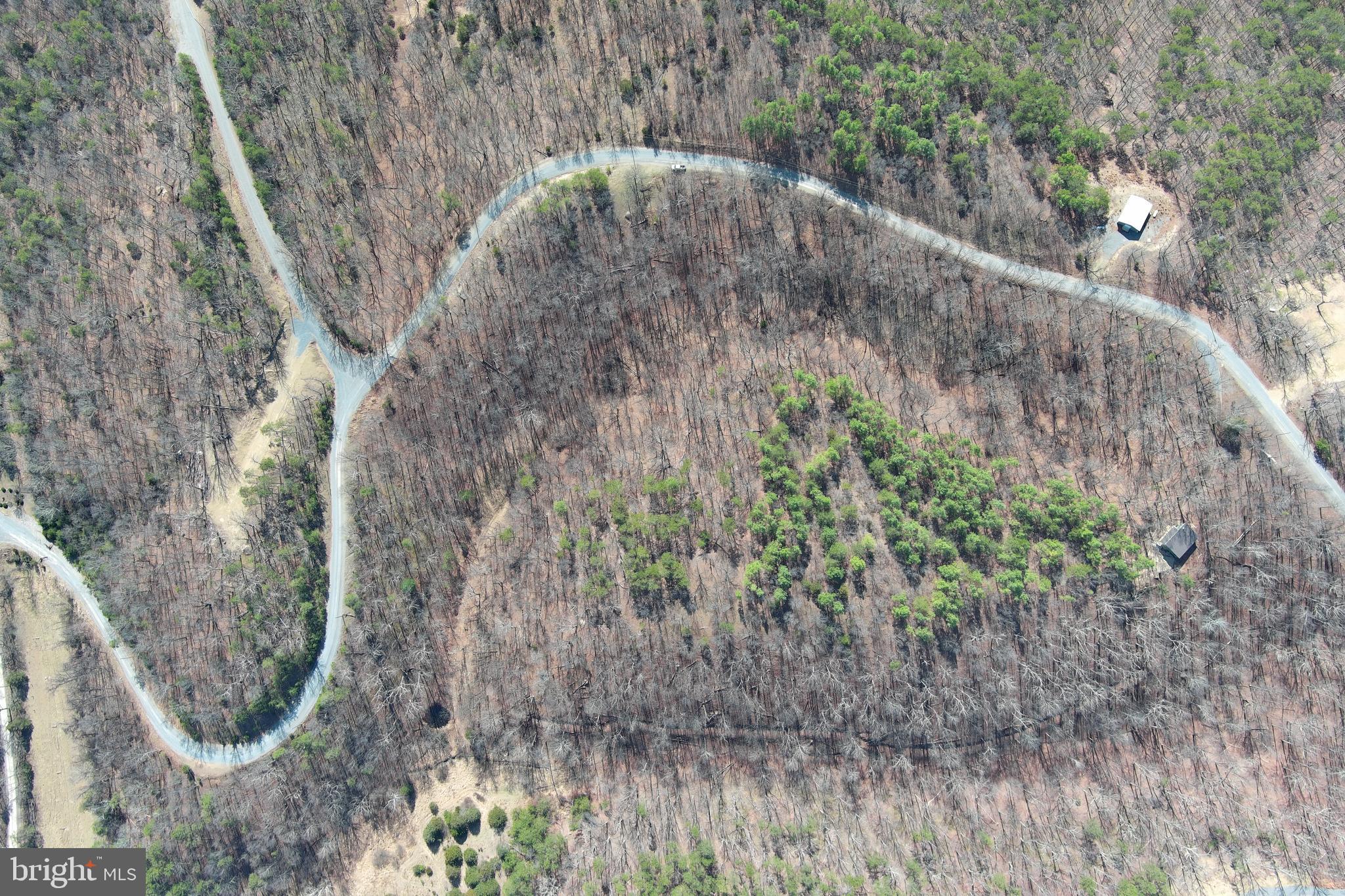 HAMILTON ESTATES - Land