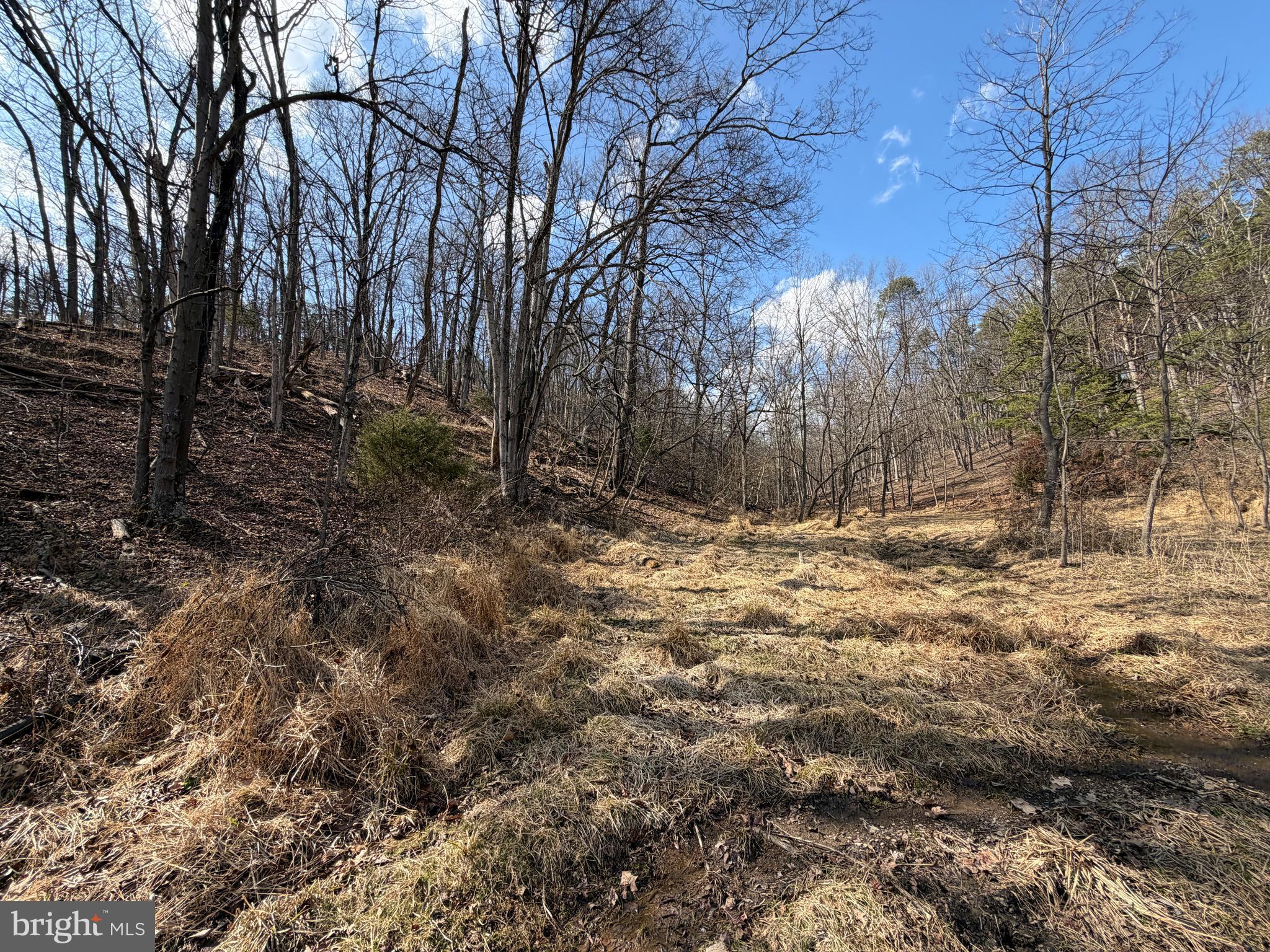 HAMILTON ESTATES - Land