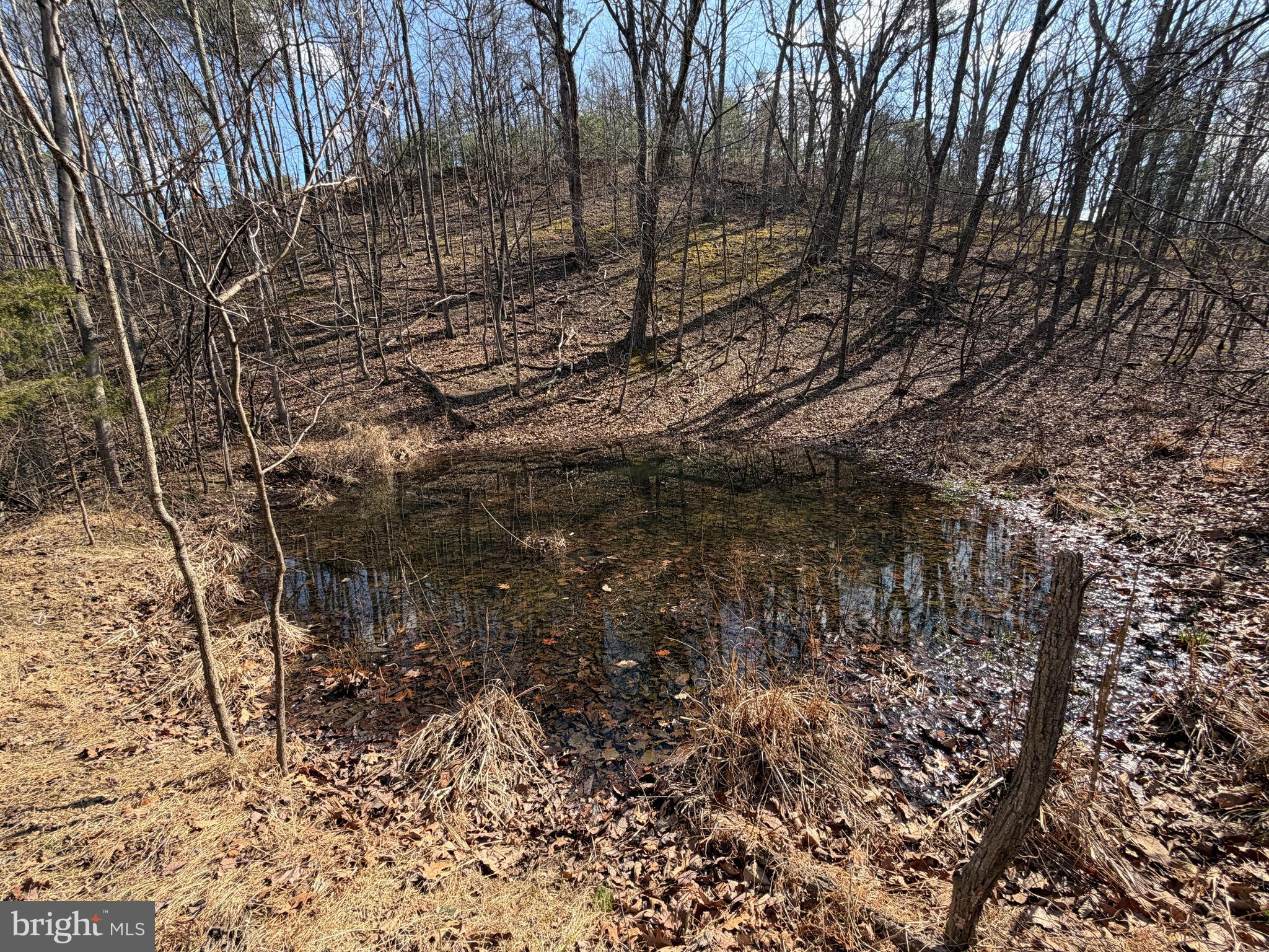 HAMILTON ESTATES - Land