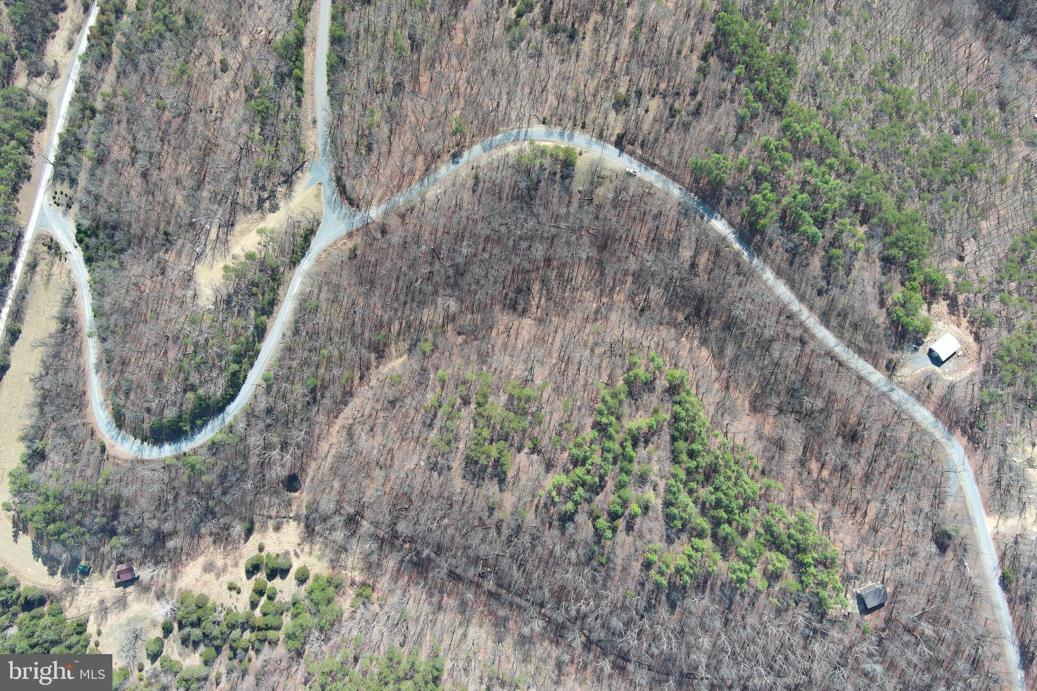 HAMILTON ESTATES - Land