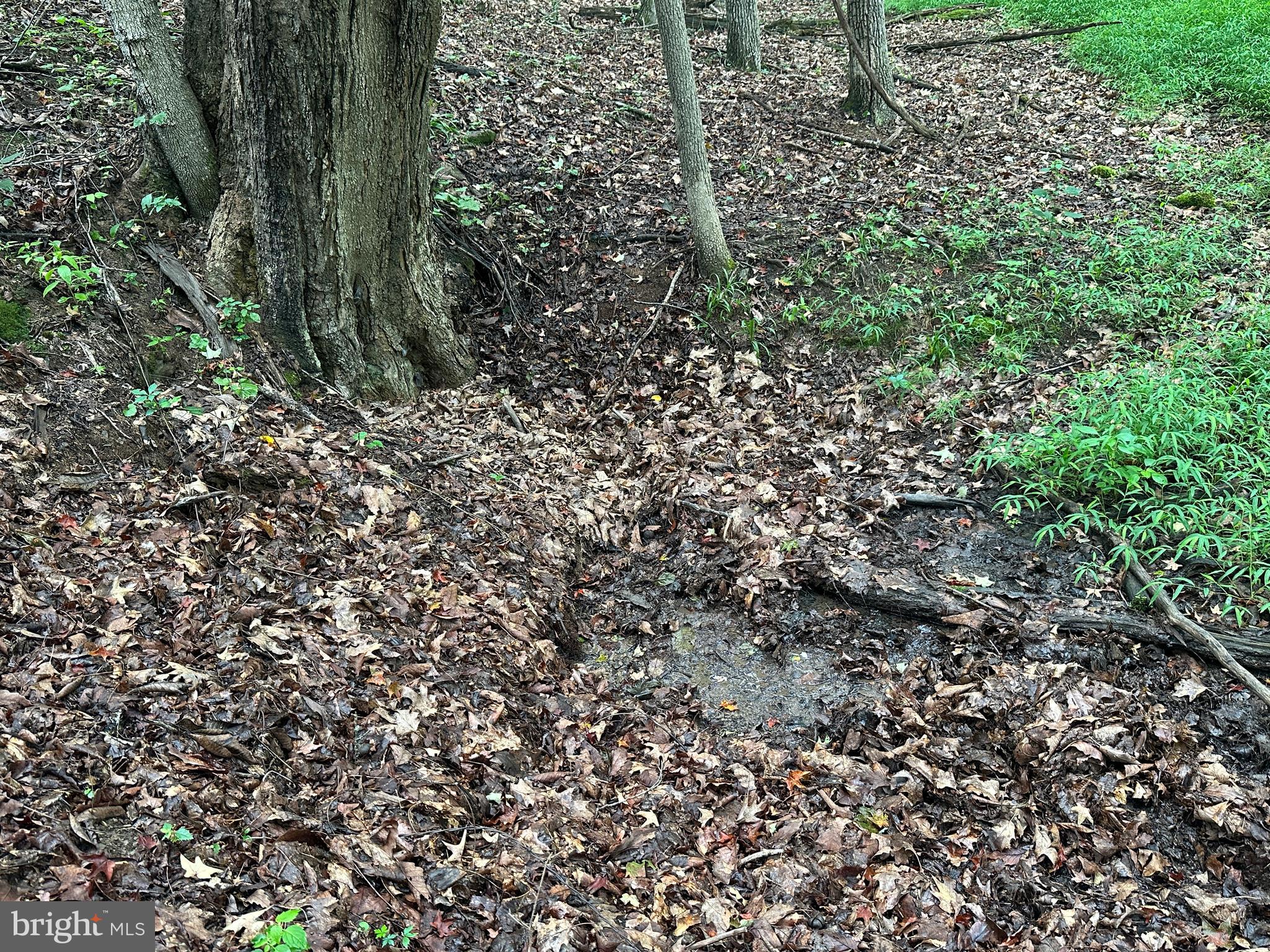 HAMILTON ESTATES - Land