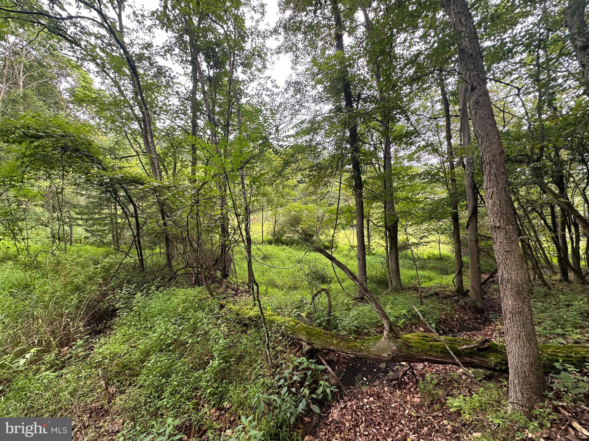 HAMILTON ESTATES - Land