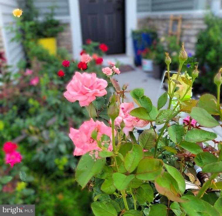 BALLENGER RUN - Residential