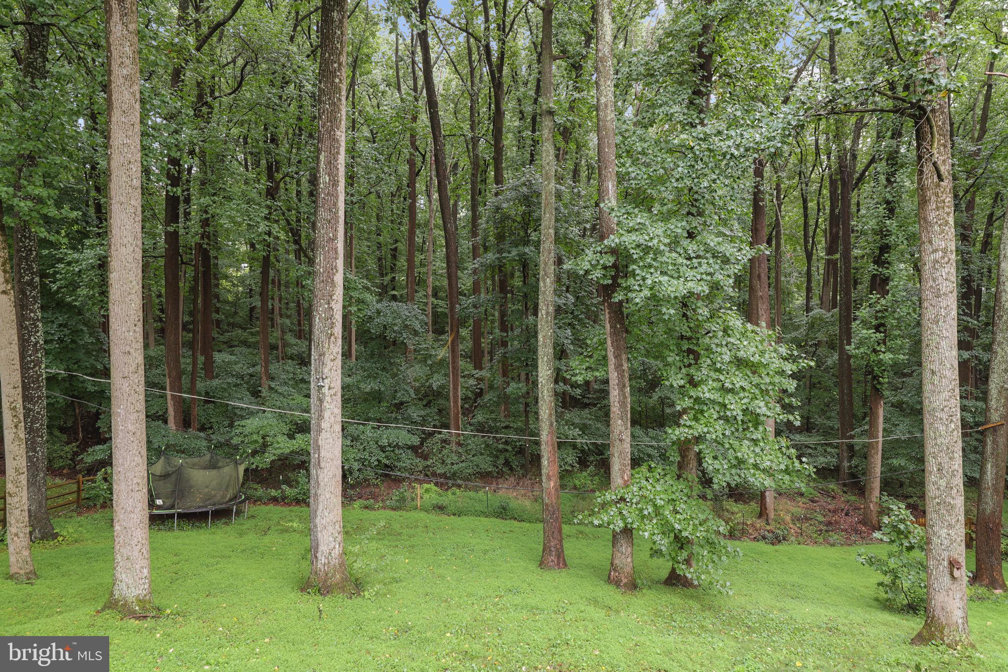 WINDEMERE - Residential