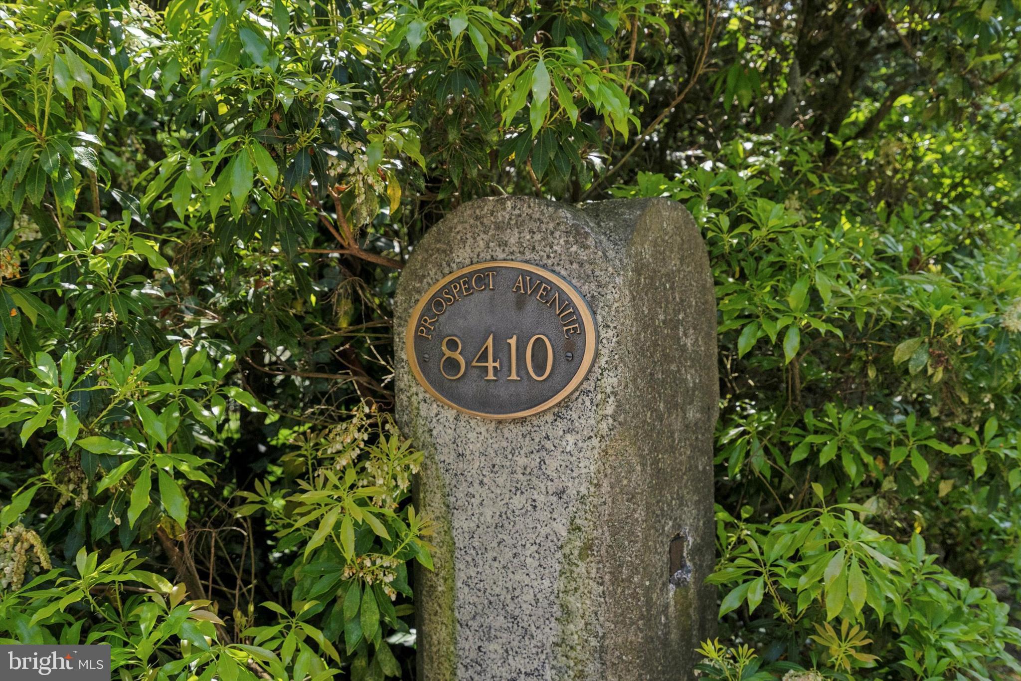 CHESTNUT HILL - Residential