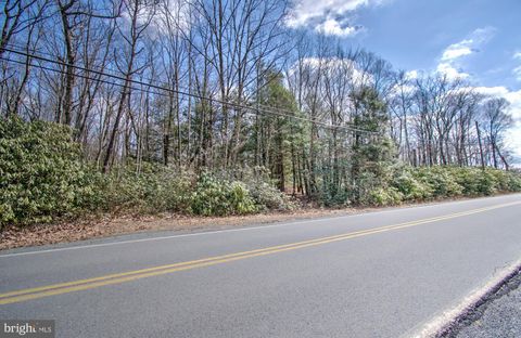 Lot 29 & 30 STONY MOUNTAIN ROAD JIM THORPE PA 18229