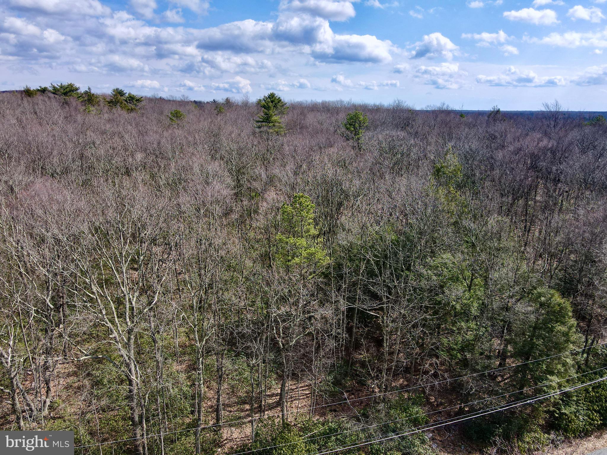 HICKORY RUN FOREST - Land