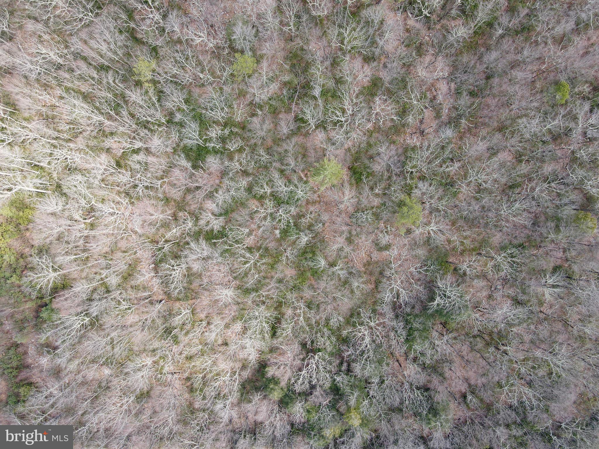 HICKORY RUN FOREST - Land