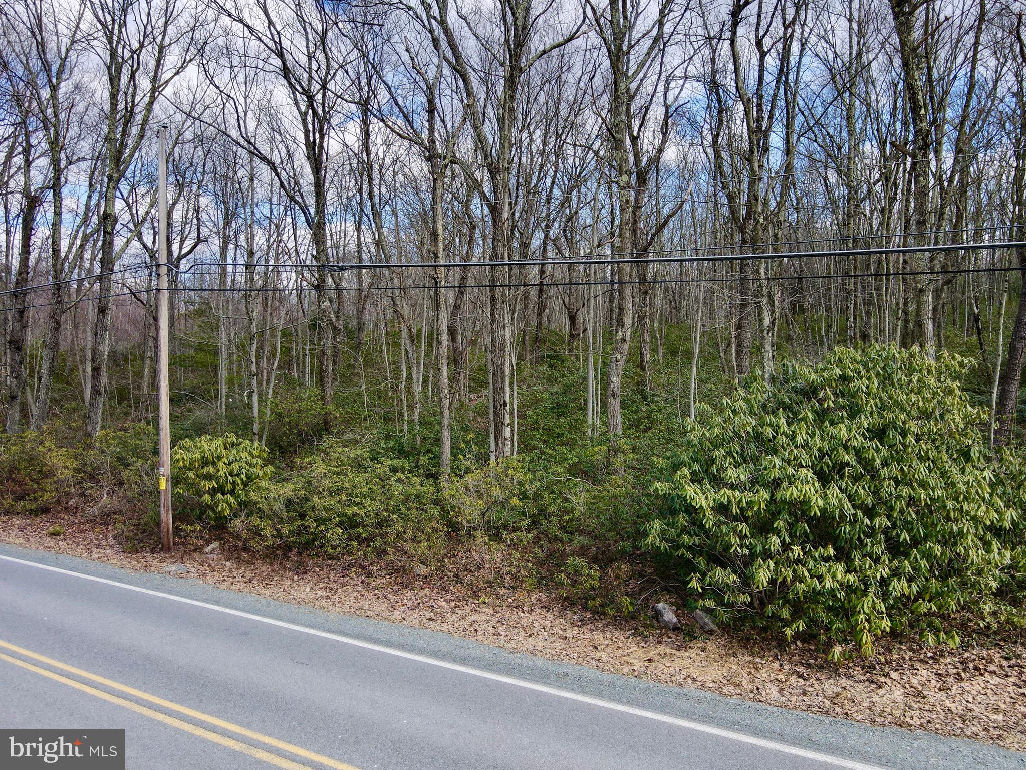 HICKORY RUN FOREST - Land