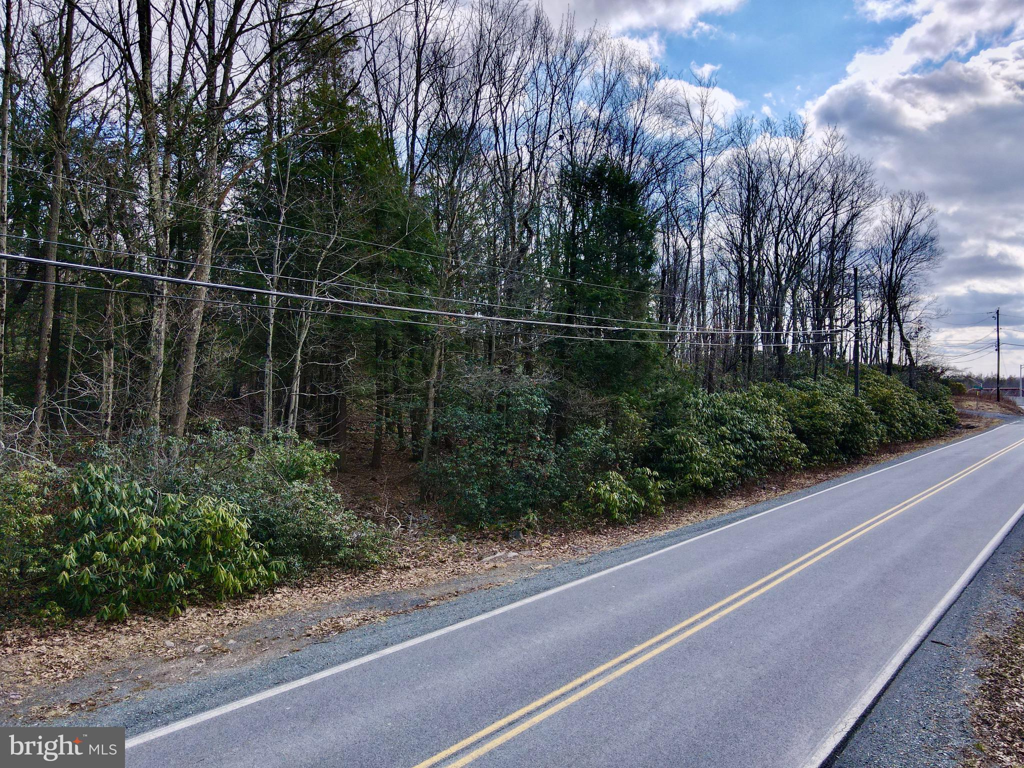 HICKORY RUN FOREST - Land