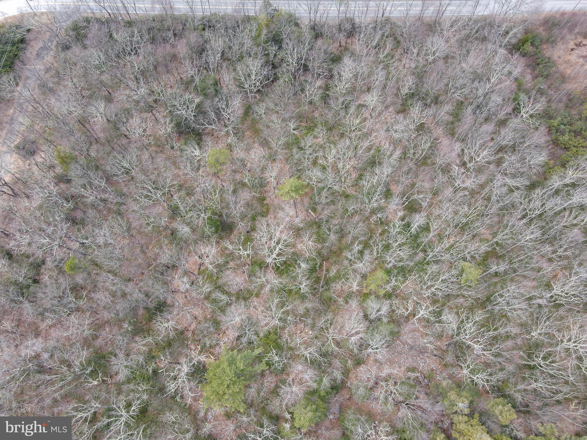 HICKORY RUN FOREST - Land