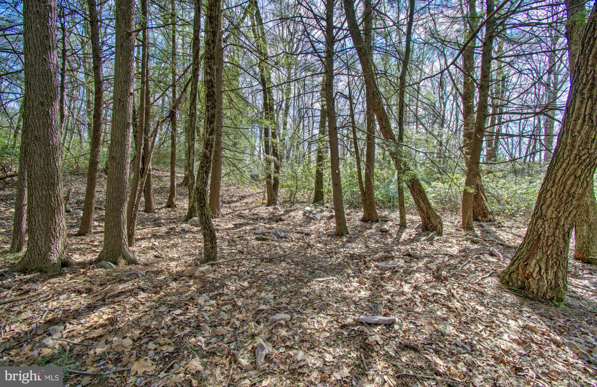 Lot 29 & 30 STONY MOUNTAIN ROAD