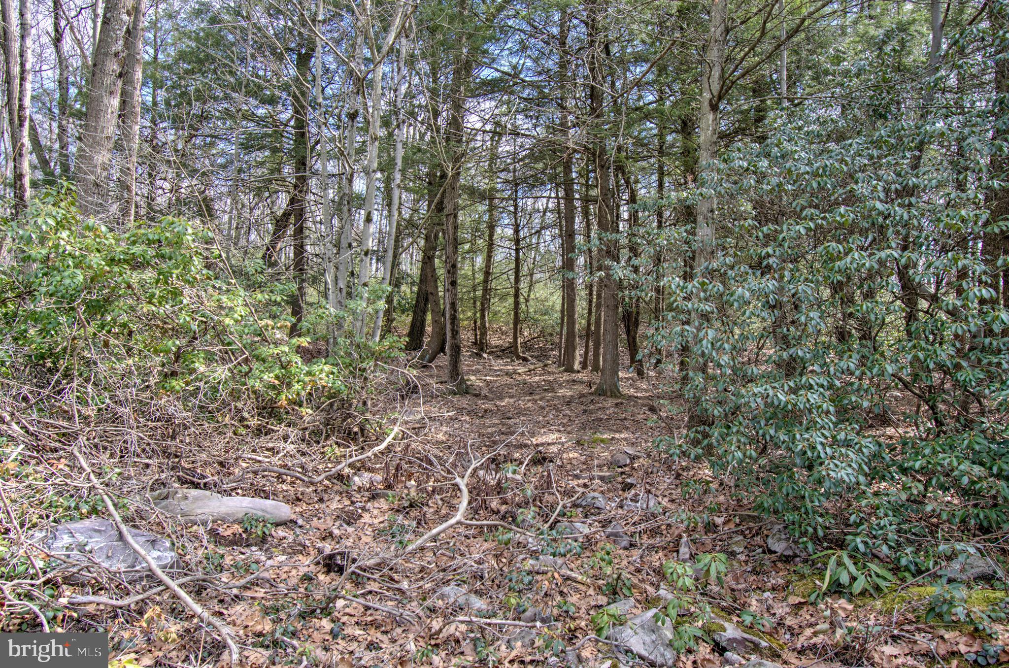 Lot 29 & 30 STONY MOUNTAIN ROAD