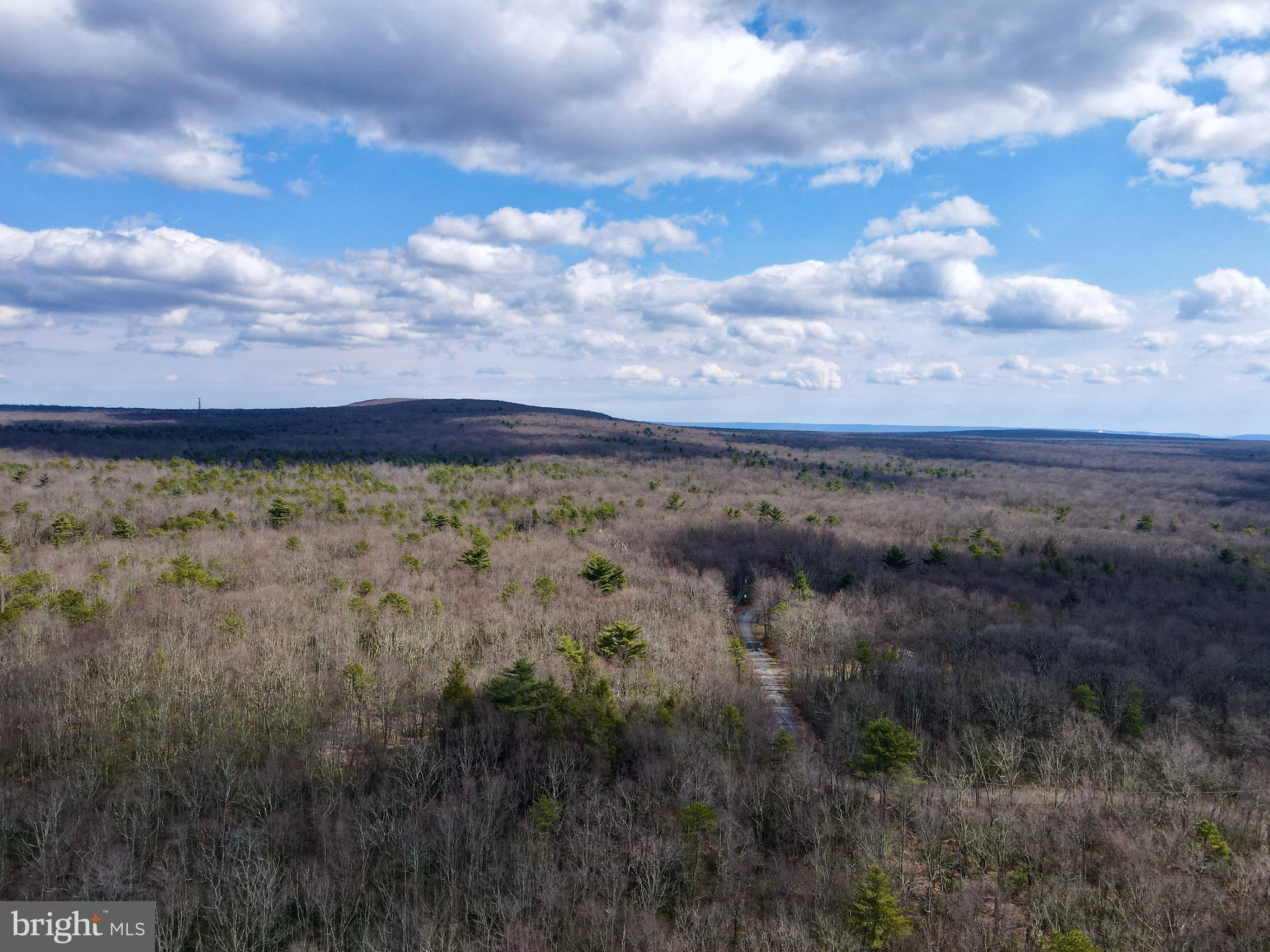 HICKORY RUN FOREST - Land