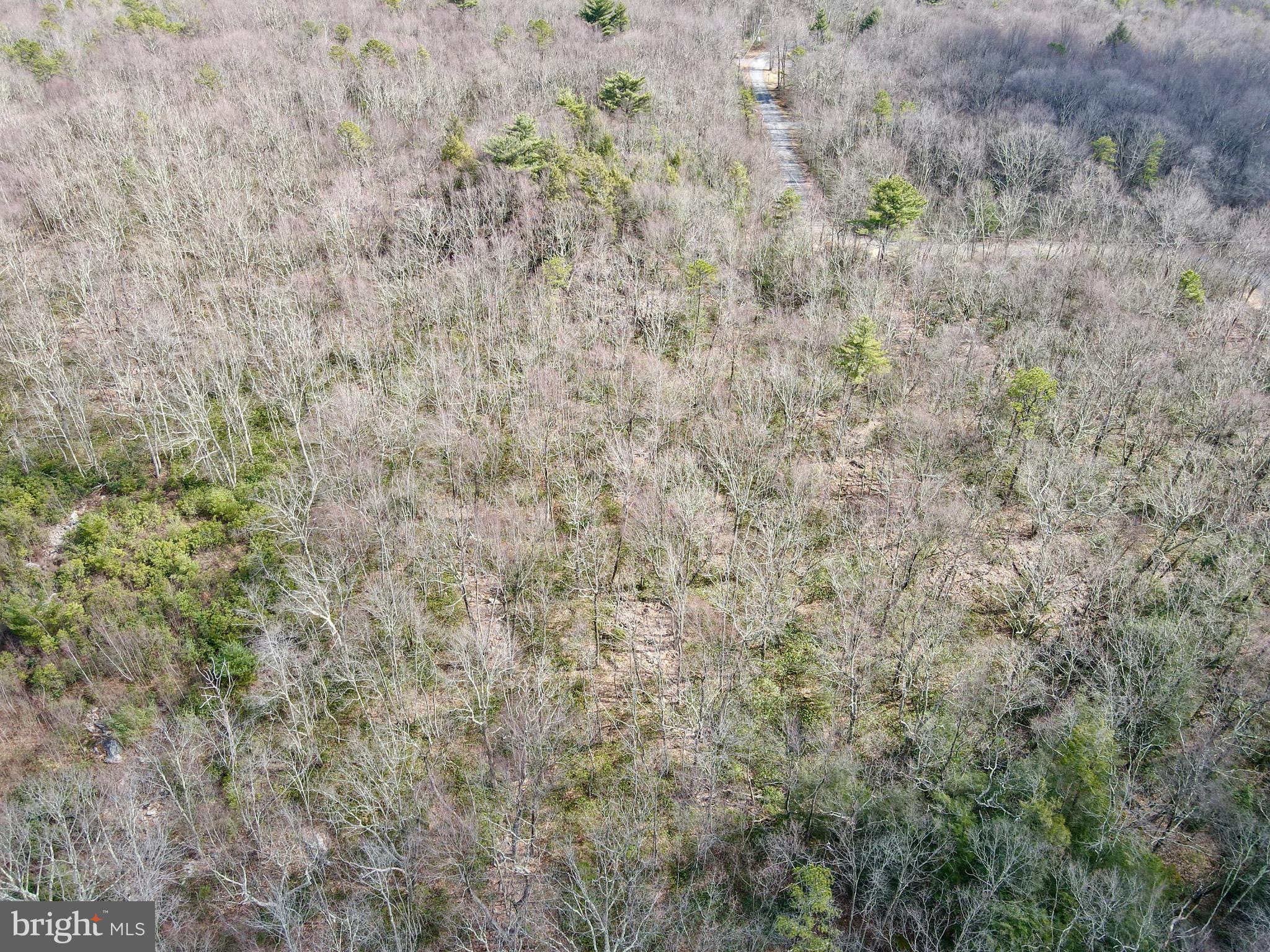 HICKORY RUN FOREST - Land