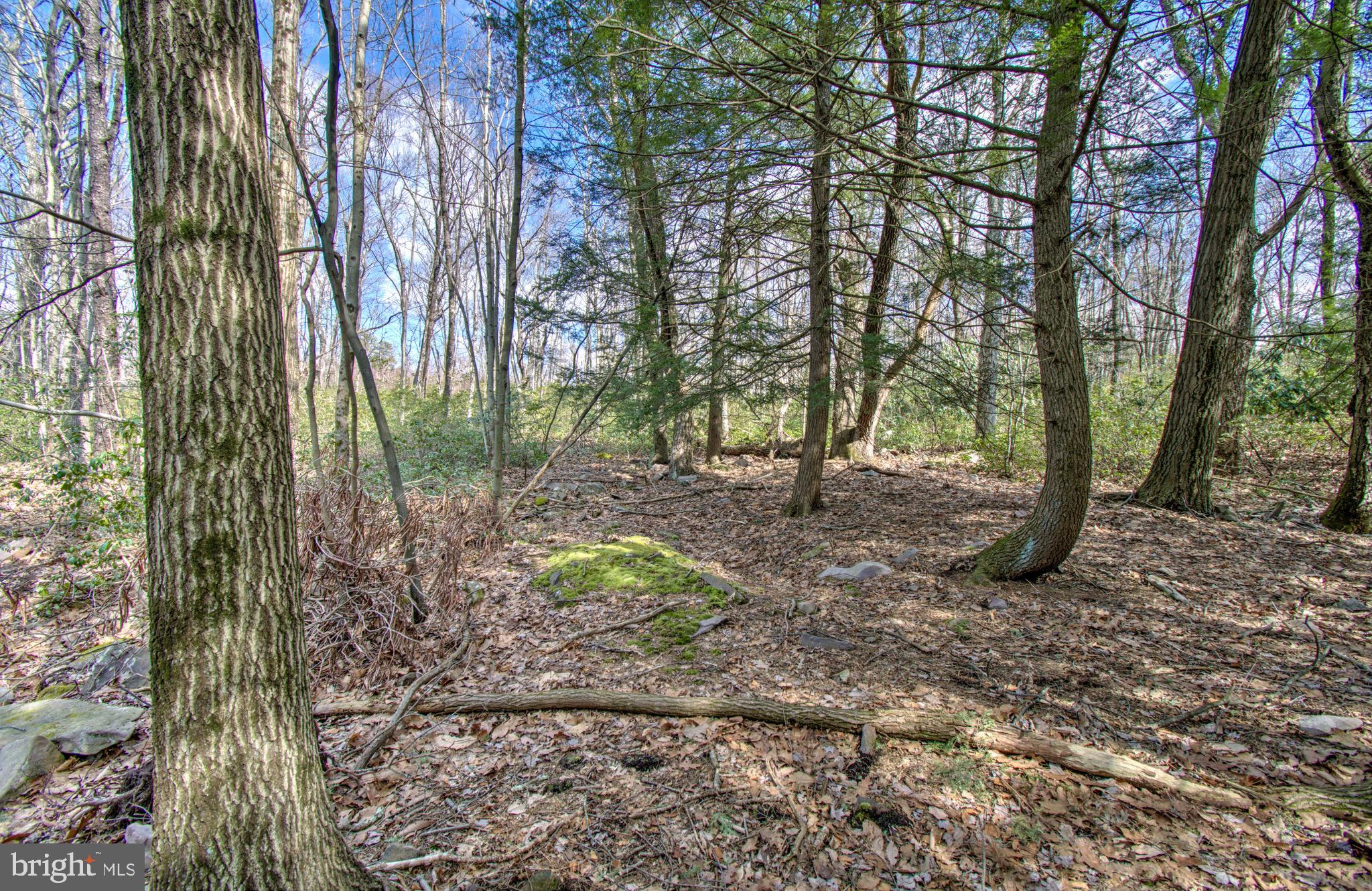 Lot 29 & 30 STONY MOUNTAIN ROAD