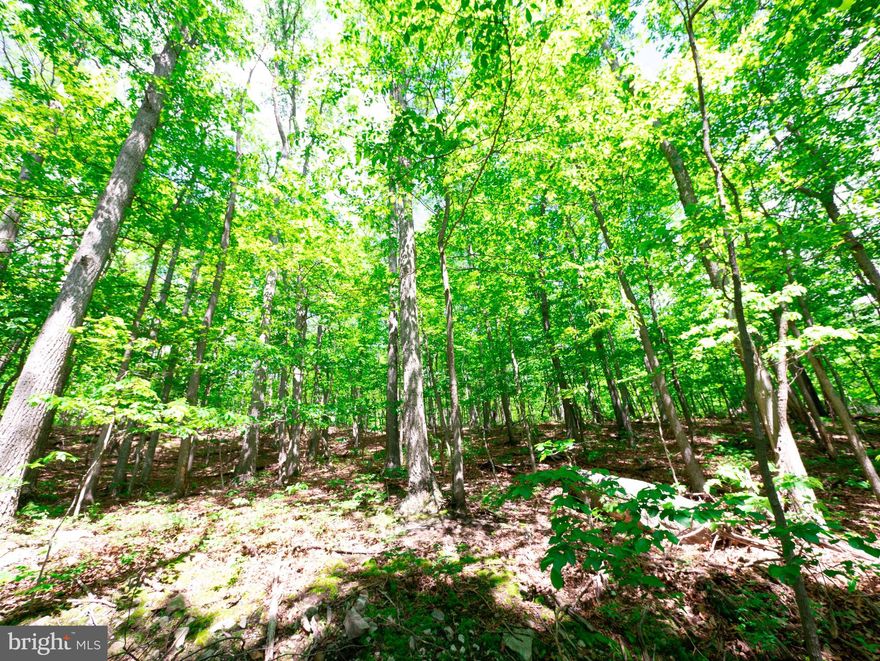 Great opportunity to own two beautiful wooded lots full of mature trees and plenty of privacy! These adjoining parcels offer a wonderful chance to connect with nature and enjoy peaceful surroundings. Located just about 30 minutes from downtown Winchester, you get the perfect mix of country calm and town convenience. Whether you’re thinking about outdoor fun, future plans, or simply an investment, these lots have exciting potential!! Schedule your showing today.