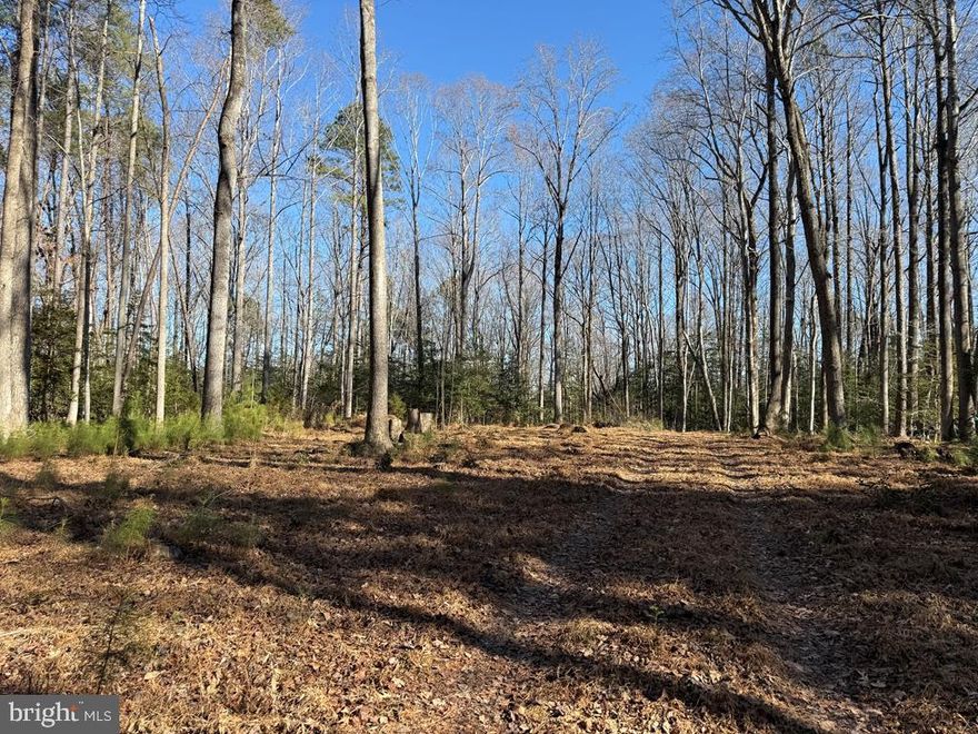 Great one acre building site on Bogey Neck Rd. The site has been partially cleared and is waiting for you to build on it!
