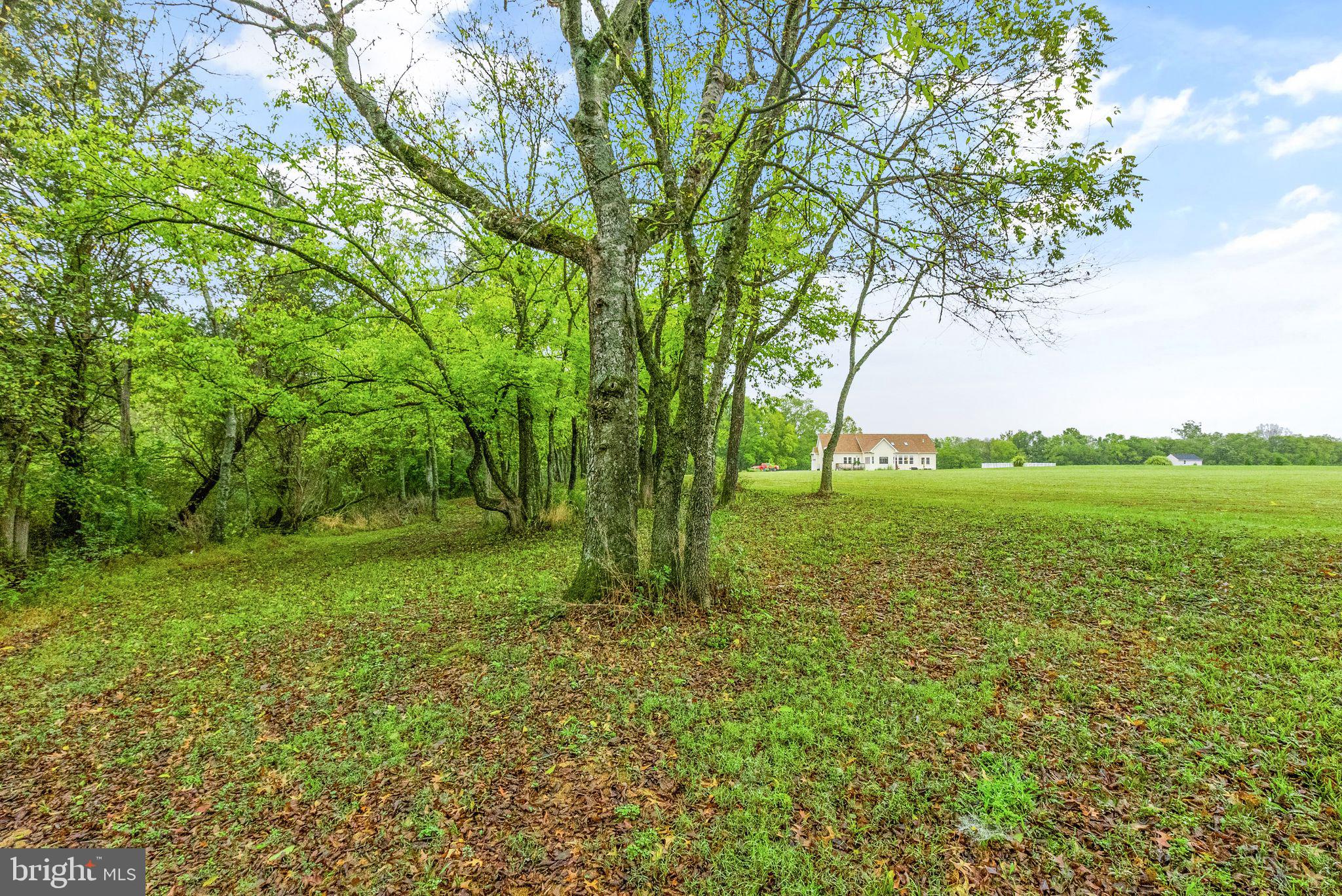 ANDREWS CROSSING - Residential