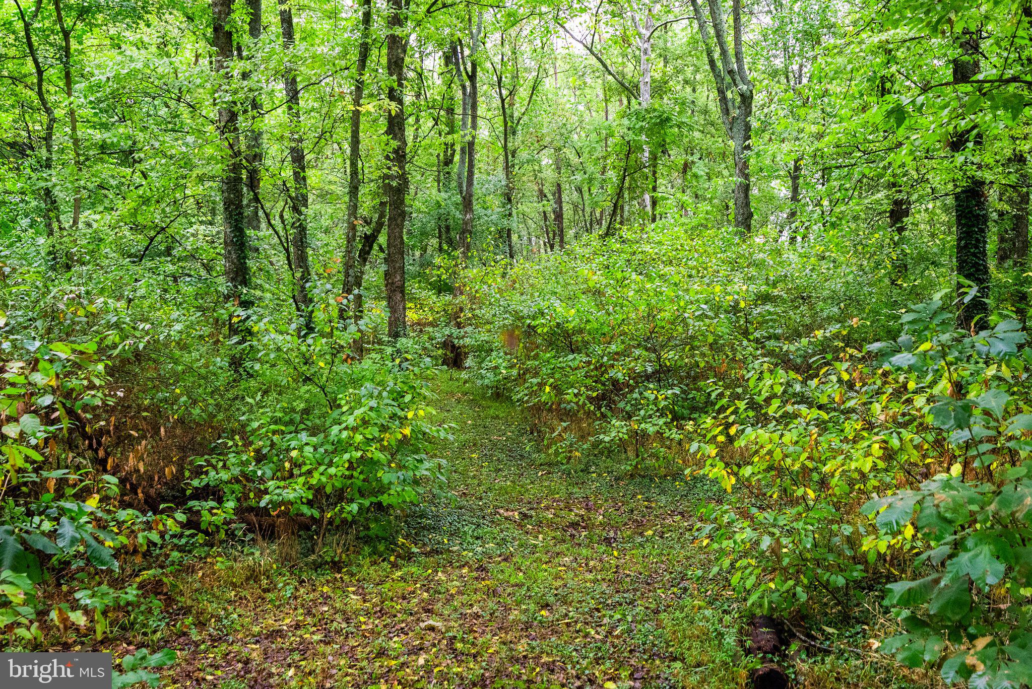 ANDREWS CROSSING - Residential