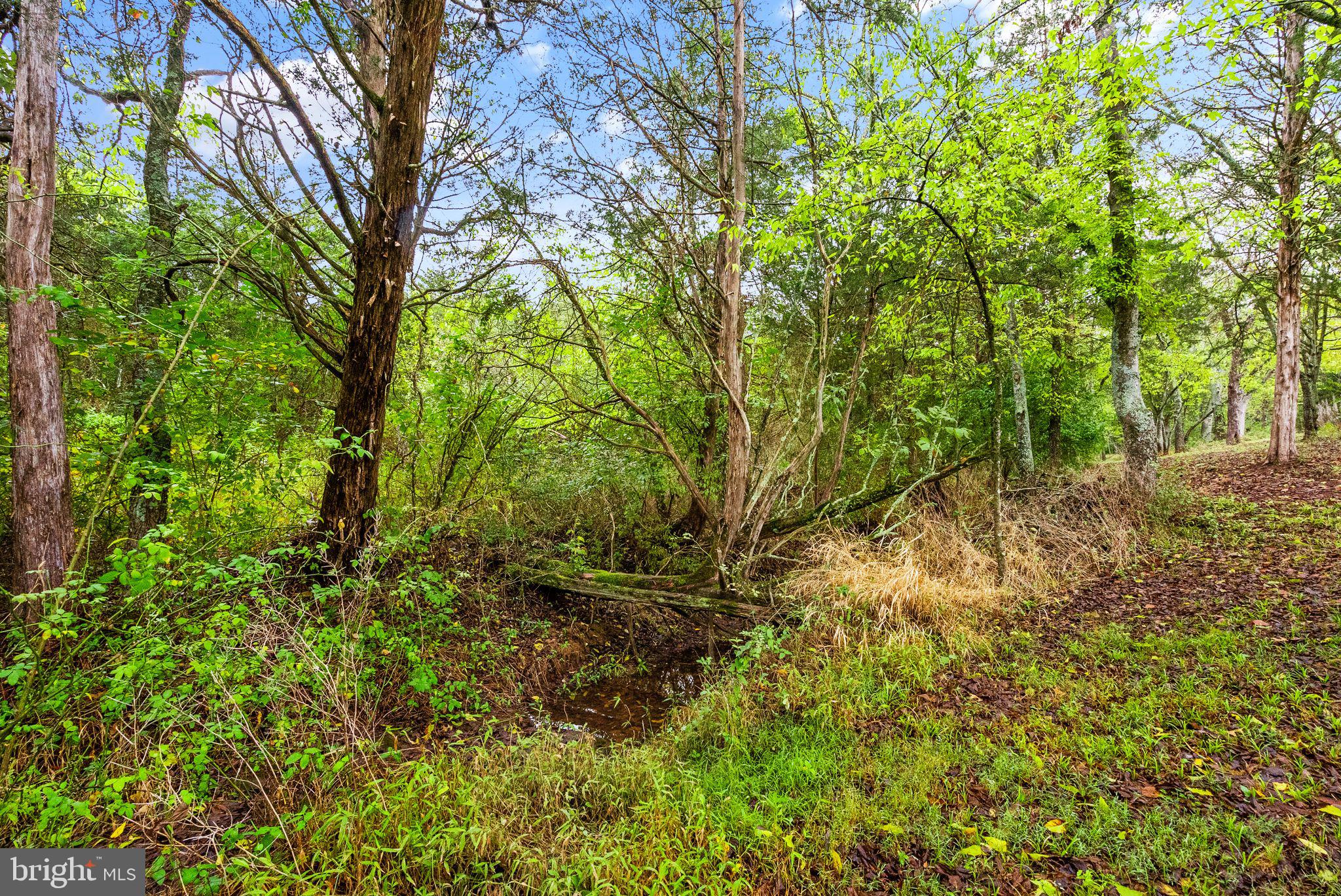 ANDREWS CROSSING - Residential