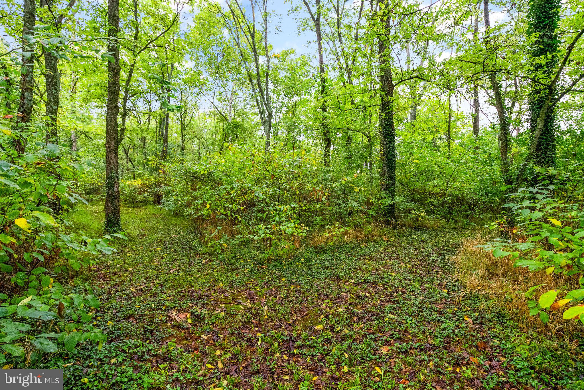 ANDREWS CROSSING - Residential