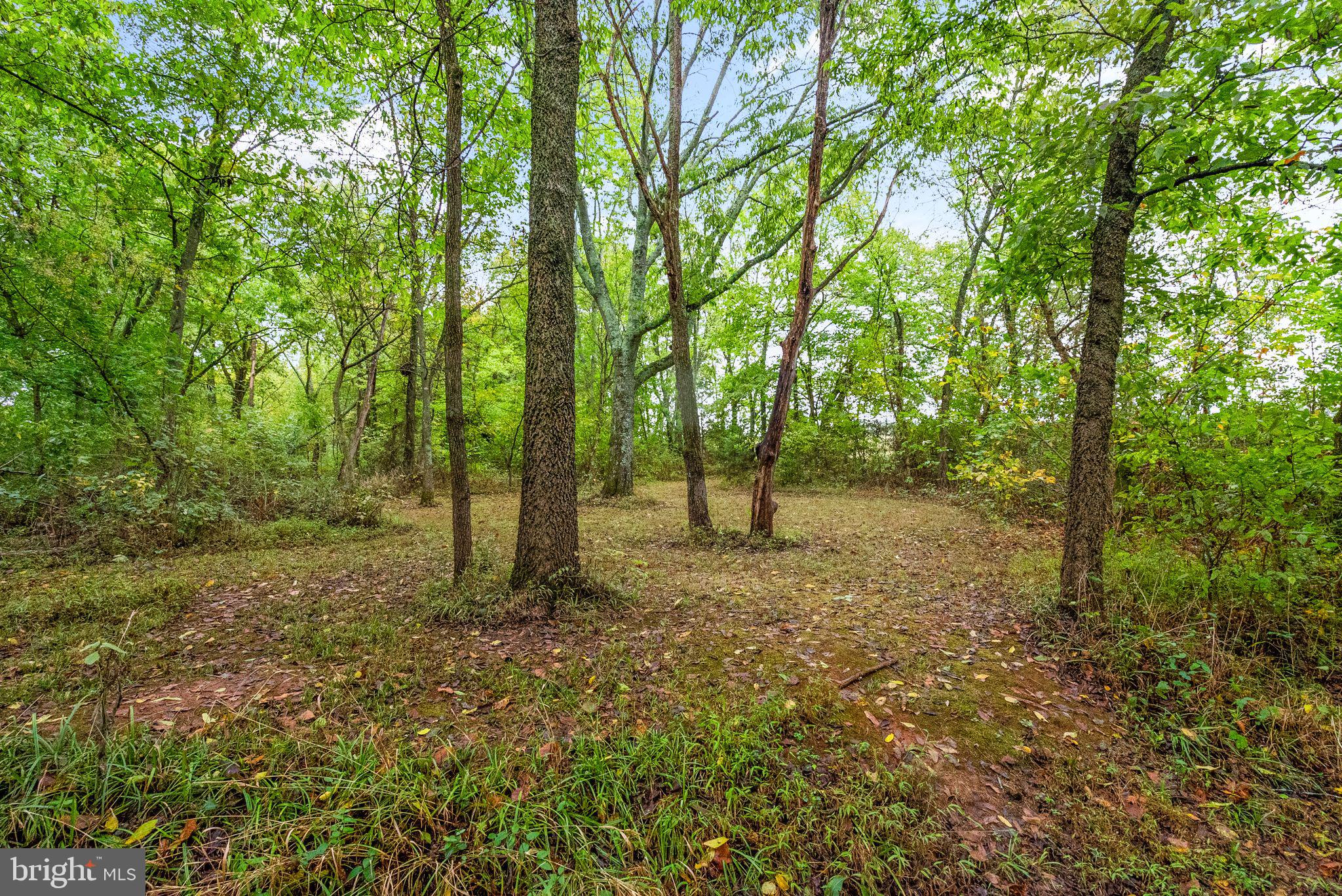 ANDREWS CROSSING - Residential