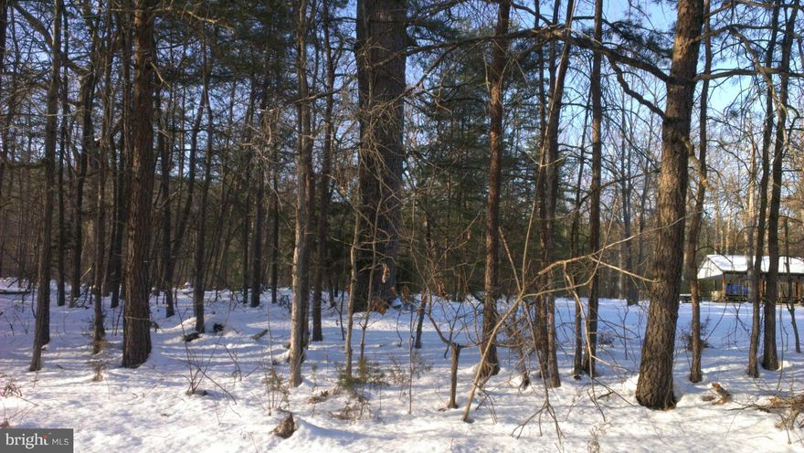 SELLER WANTS TO SELL NOW!  BRING US AN OFFER WE CAN'T REFUSE!  Beautiful lot, QUIET, QUAINT AND INCREDIBLE.  Your clients won't be disappointed!  True country living just 15 minutes from Winchester, convenient to Strasburg. Soil evaluation complete (needs updating), percs for 5 bedroom, certification required.