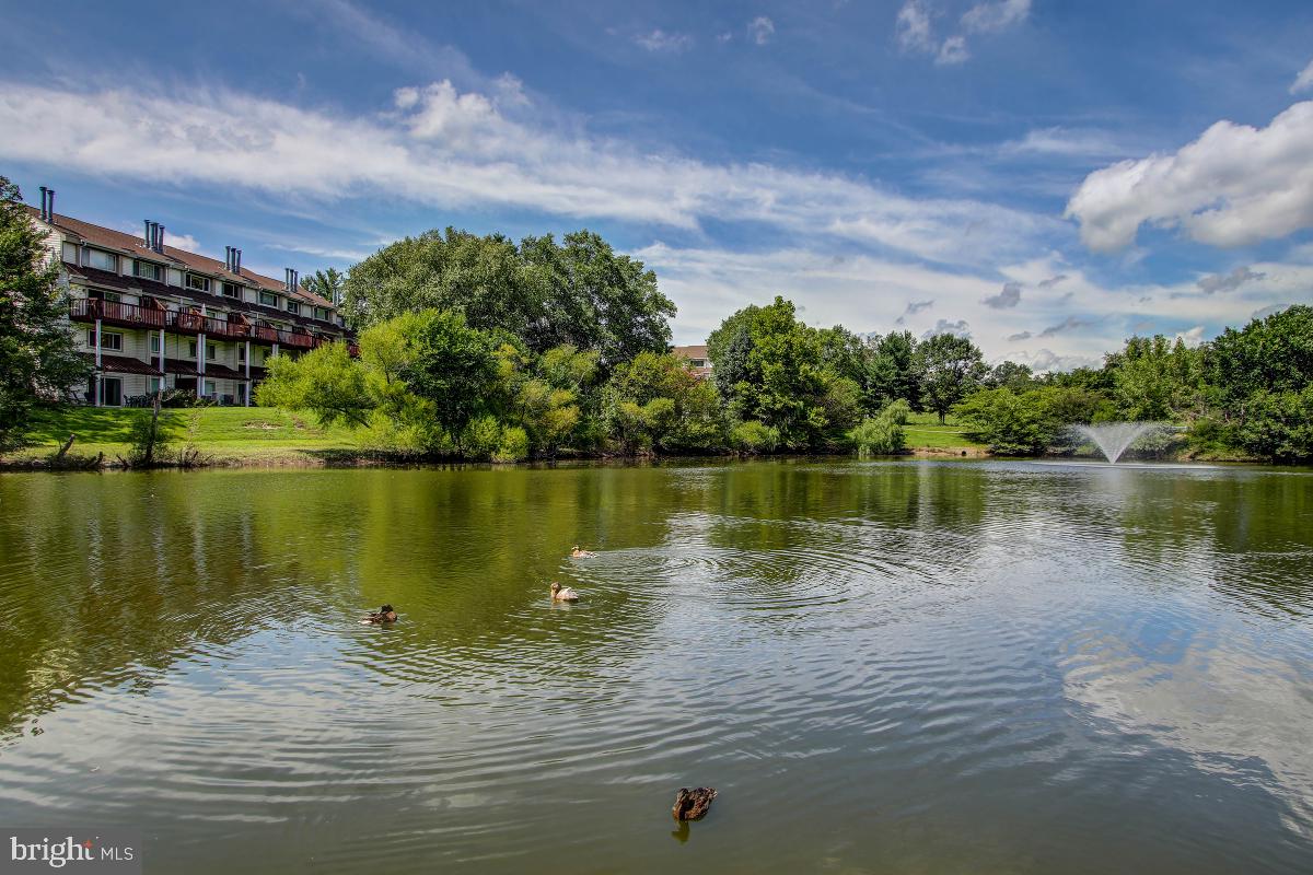 FAIR HILL - Residential