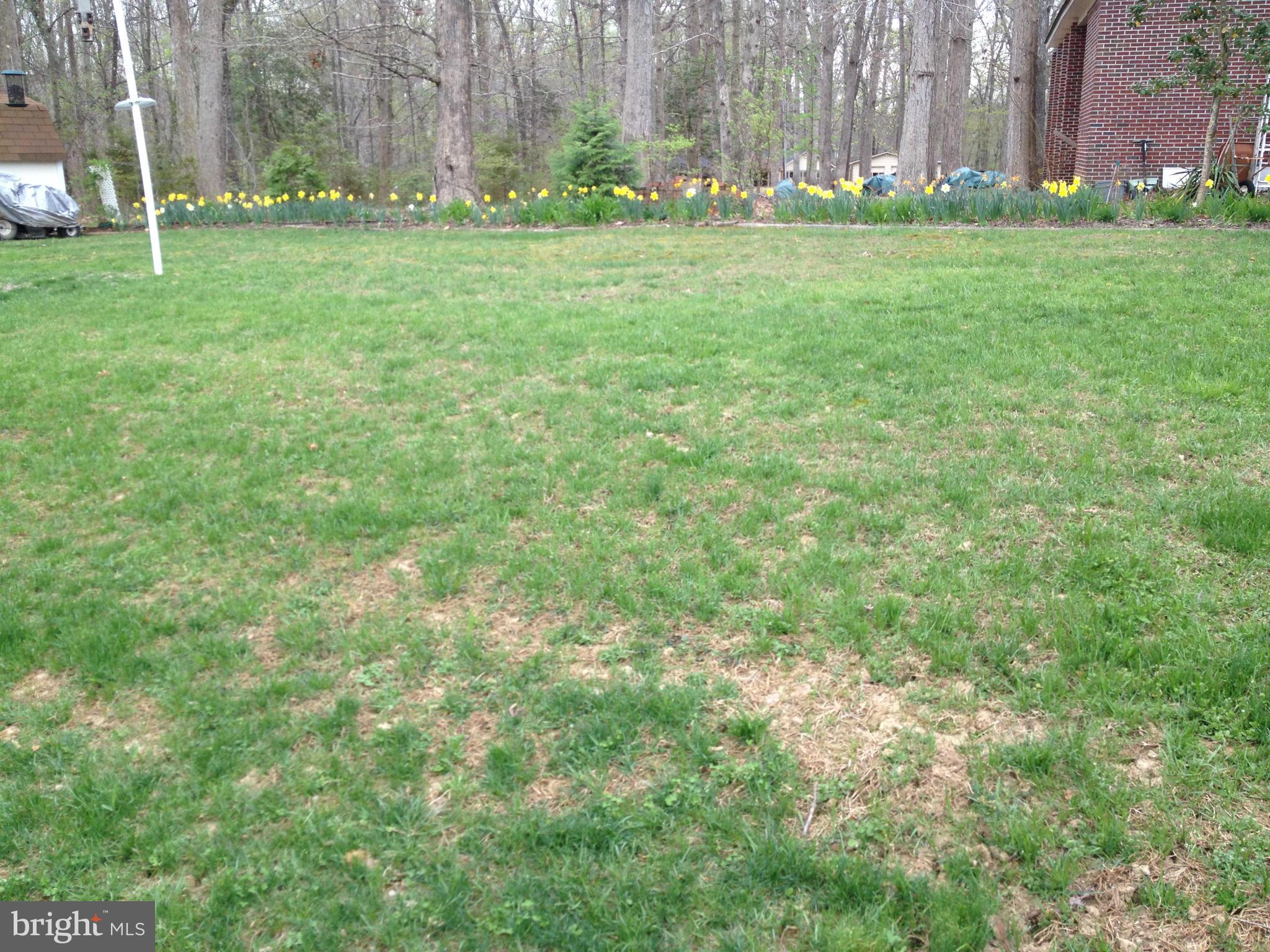 ARGYLE TERRACE - Residential