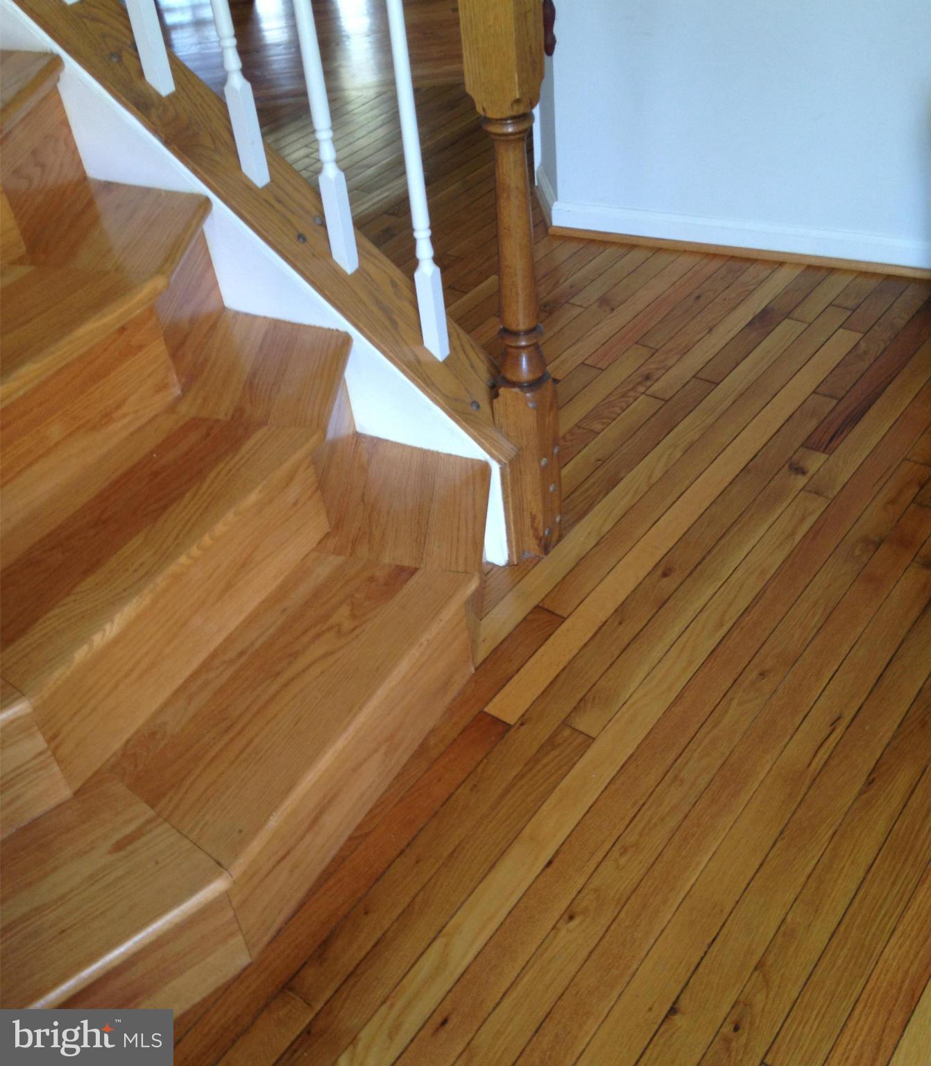 ARGYLE TERRACE - Residential