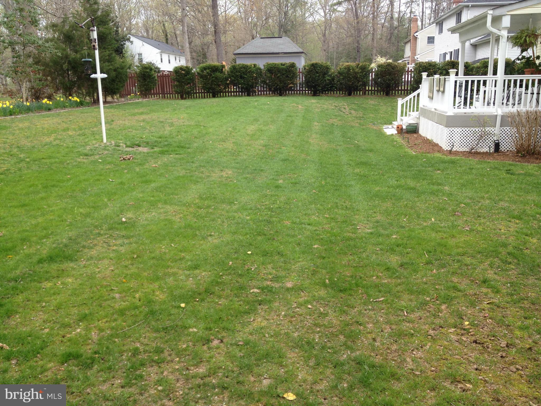 ARGYLE TERRACE - Residential