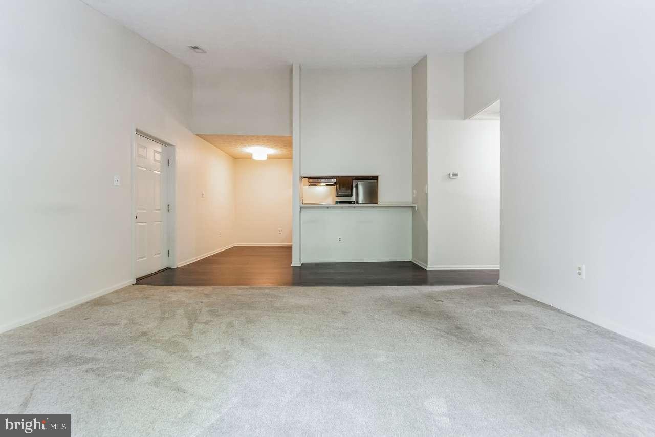 11410 LITTLE PATUXENT PARKWAY 1007