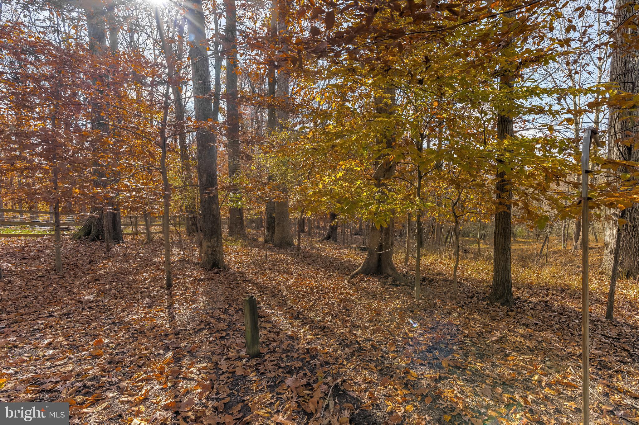 KINGS CONTRIVANCE - Residential